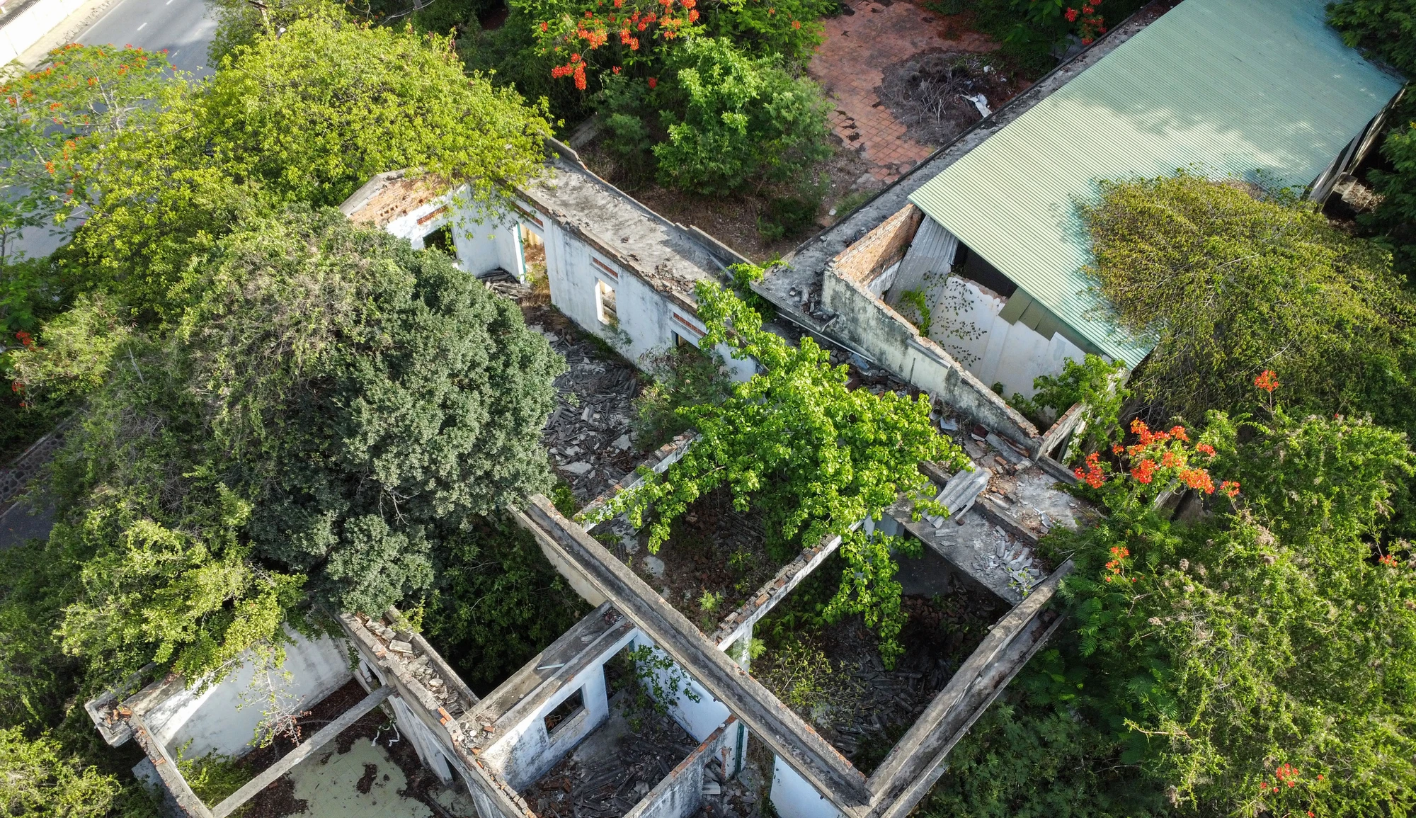 DJI_0634.jpg