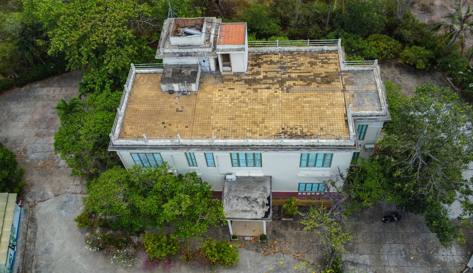 DJI_0954.jpg