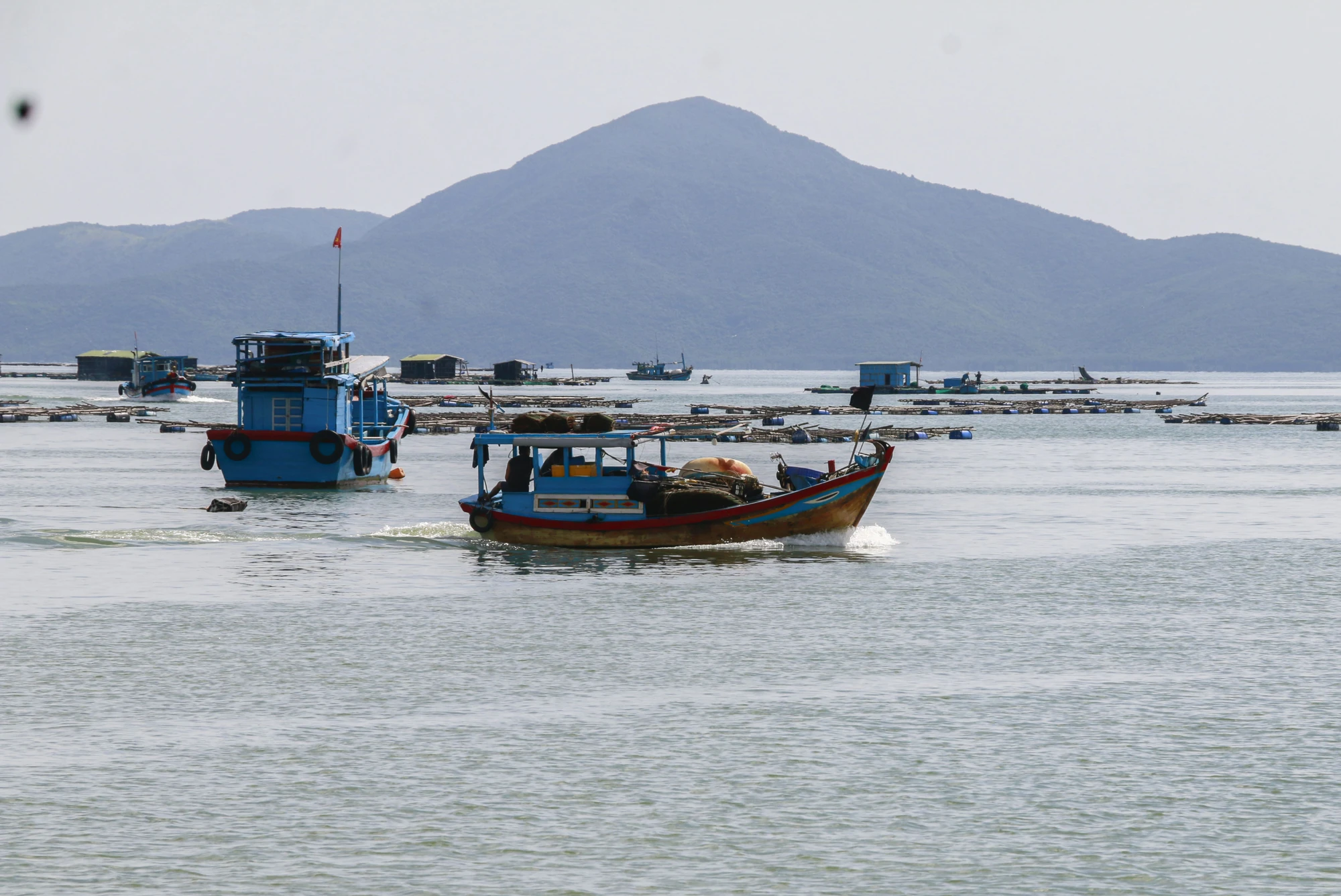 _MG_0416.jpg