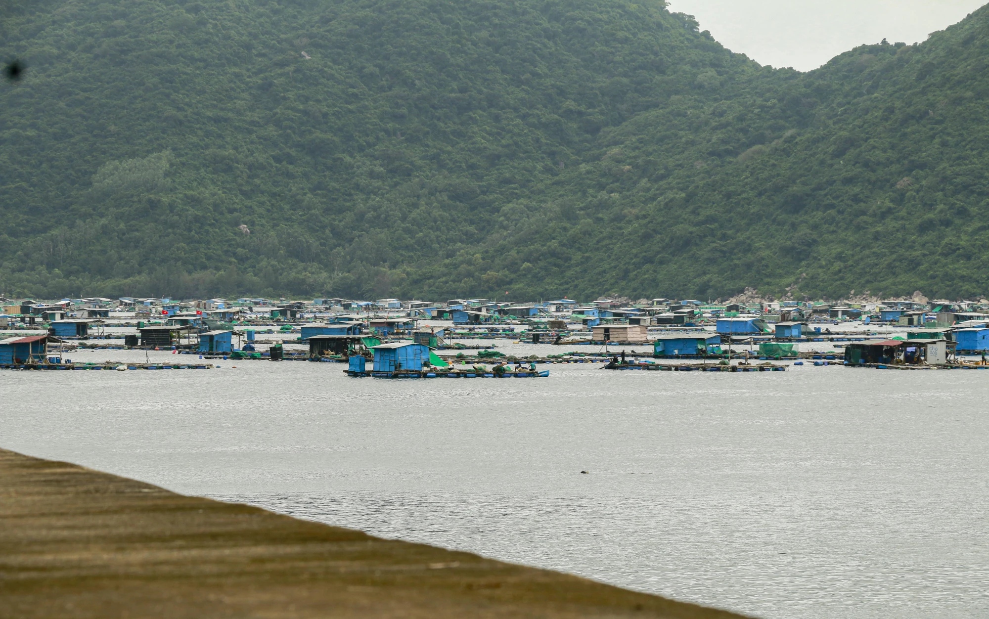 _MG_0503.jpg