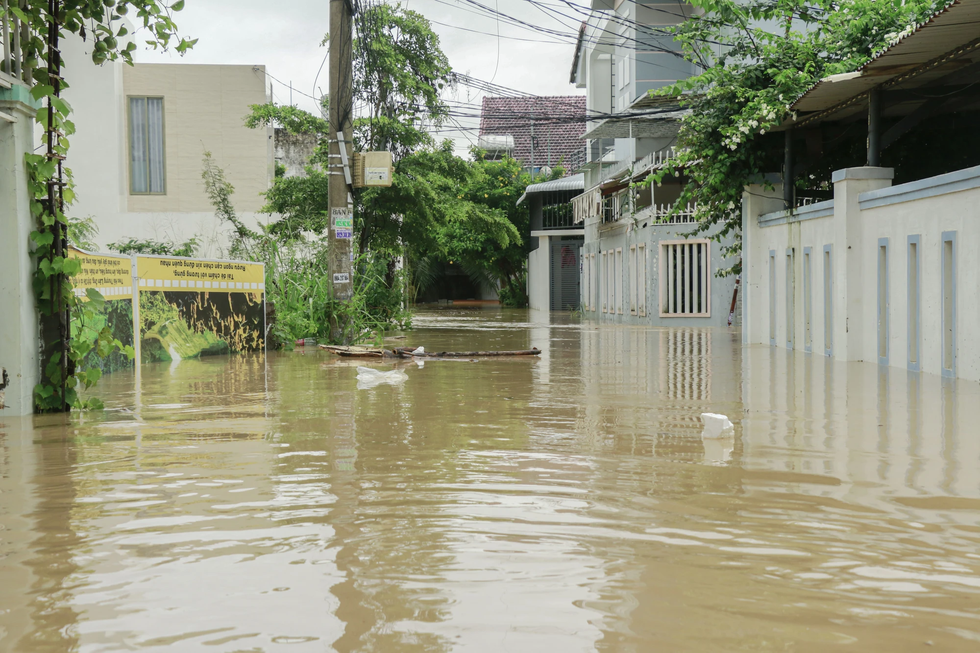 _MG_1415.jpg