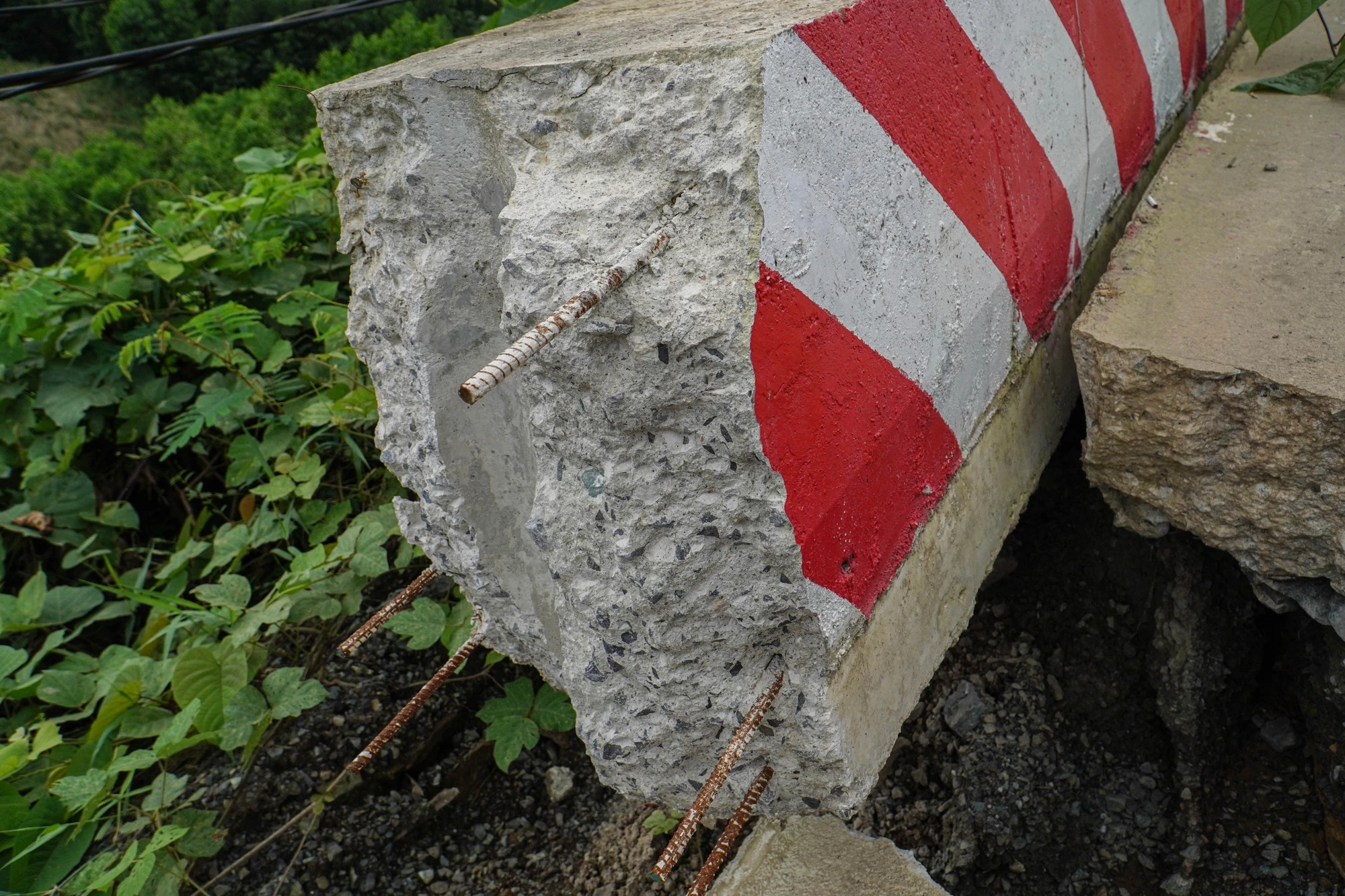 DTH02169.jpg