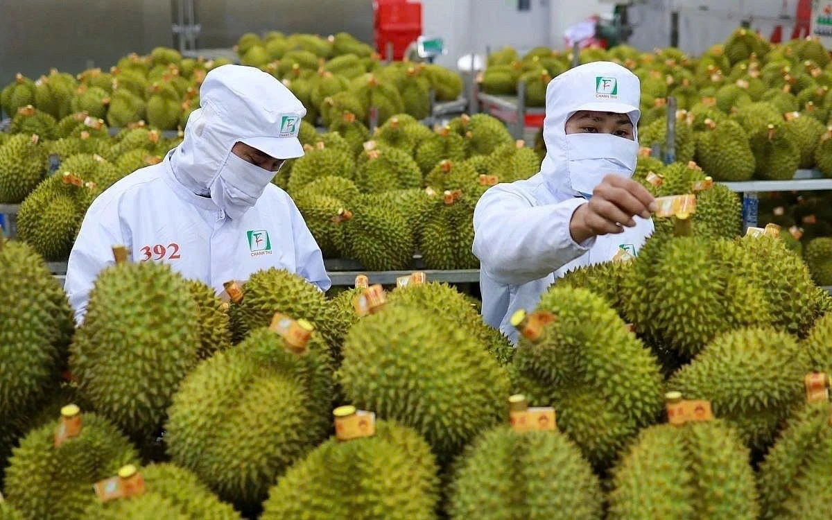 Phía sau cú bứt phá thần tốc của rau quả Việt, mang về 8,6 tỉ USD