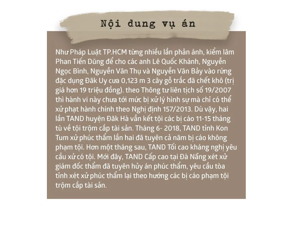 Ai đã làm cho vụ cưa gỗ khô thêm phức tạp? ảnh 15