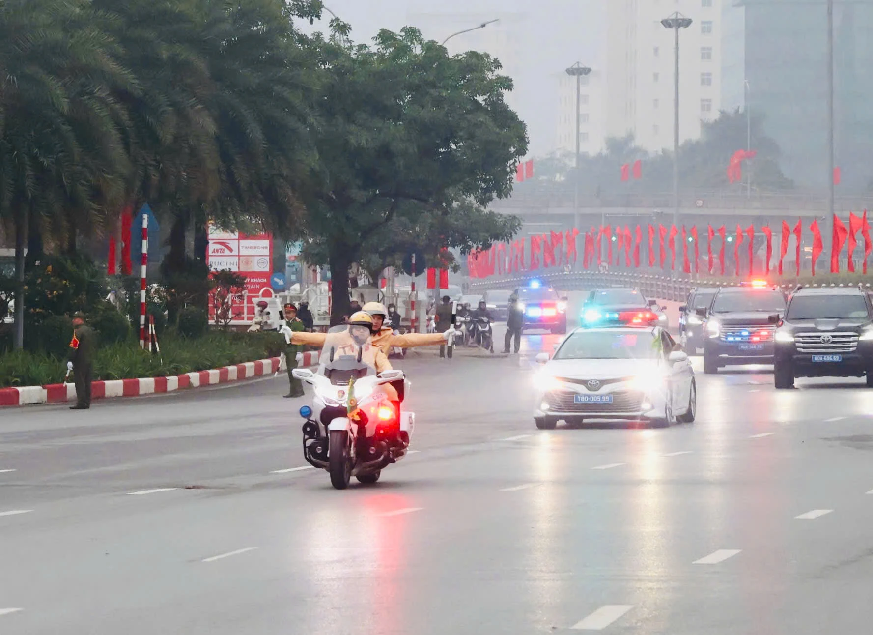 dan-duong.jpg