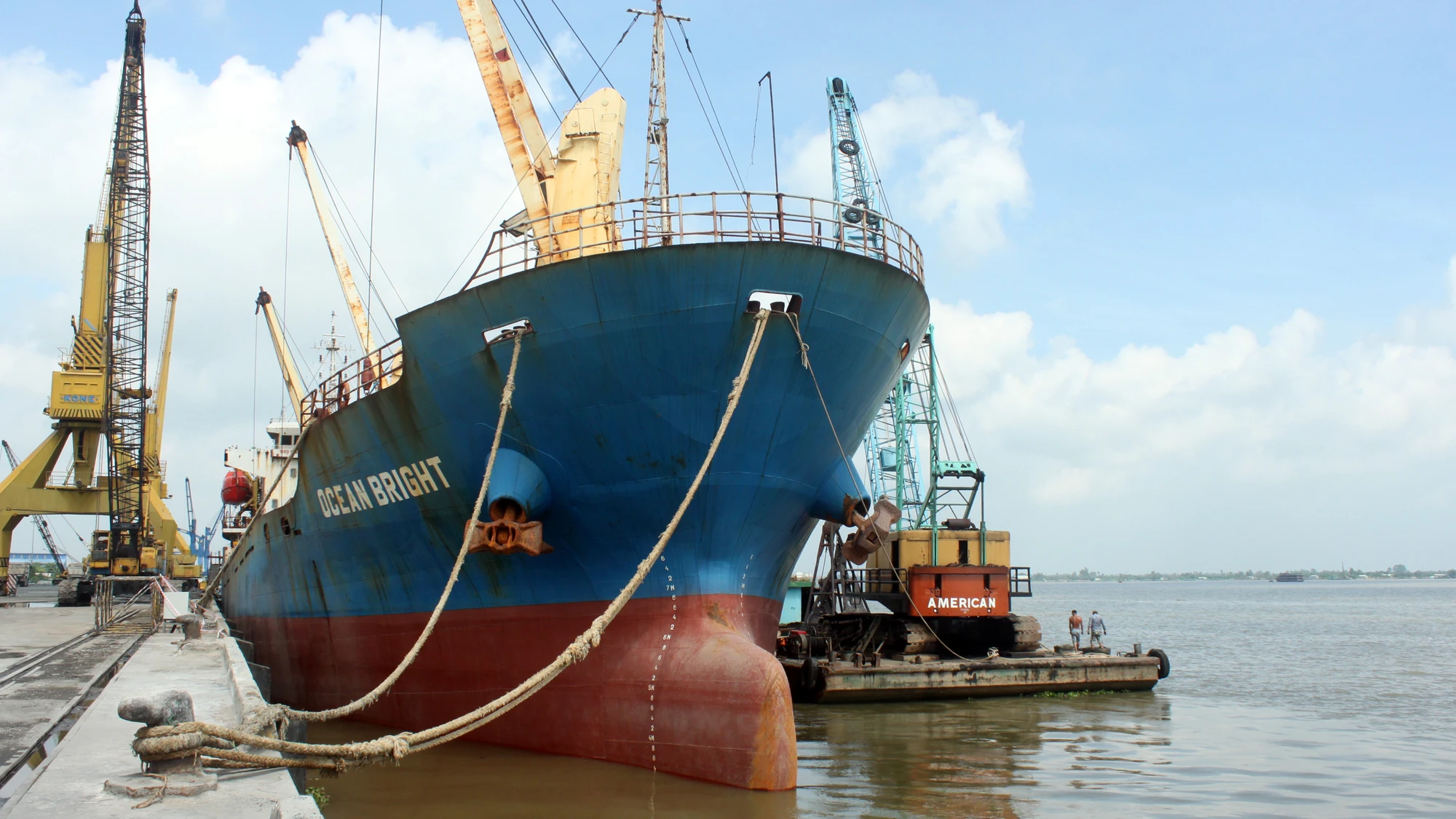 cang-cai-cui1_WEKE.jpg