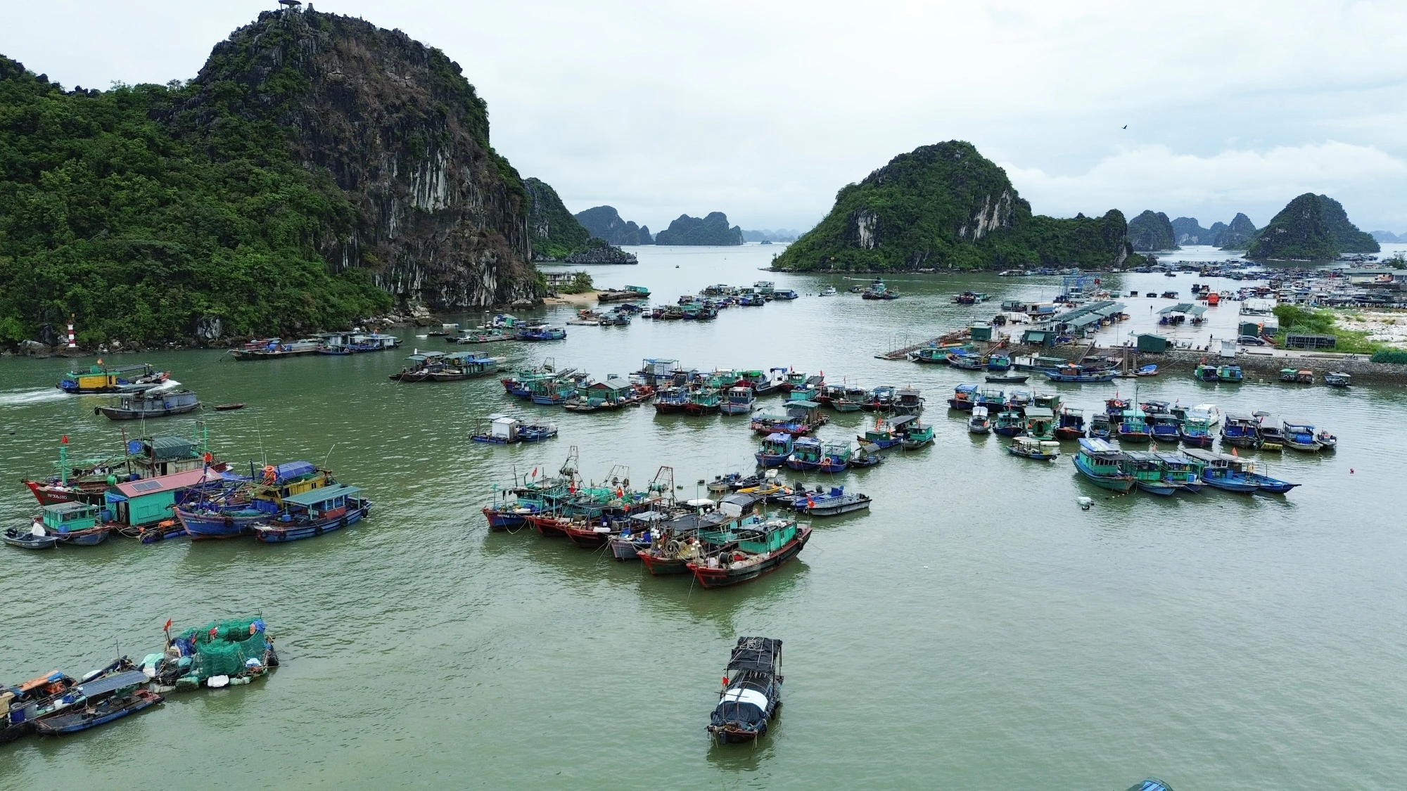 P45_Chinh_h2.jpg