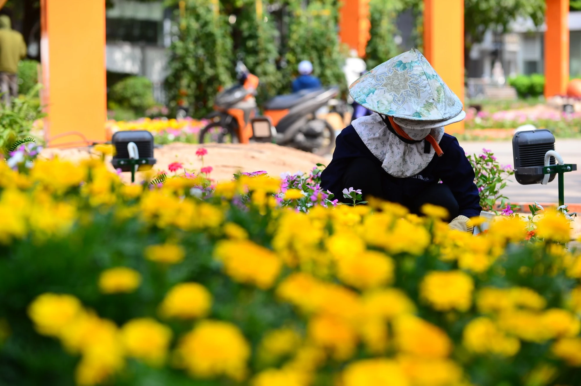 Hiện các loại hoa được tập kết, chuẩn bị sắp xếp vào các vị trí theo thiết kế. Ảnh: HOÀNG GIANG