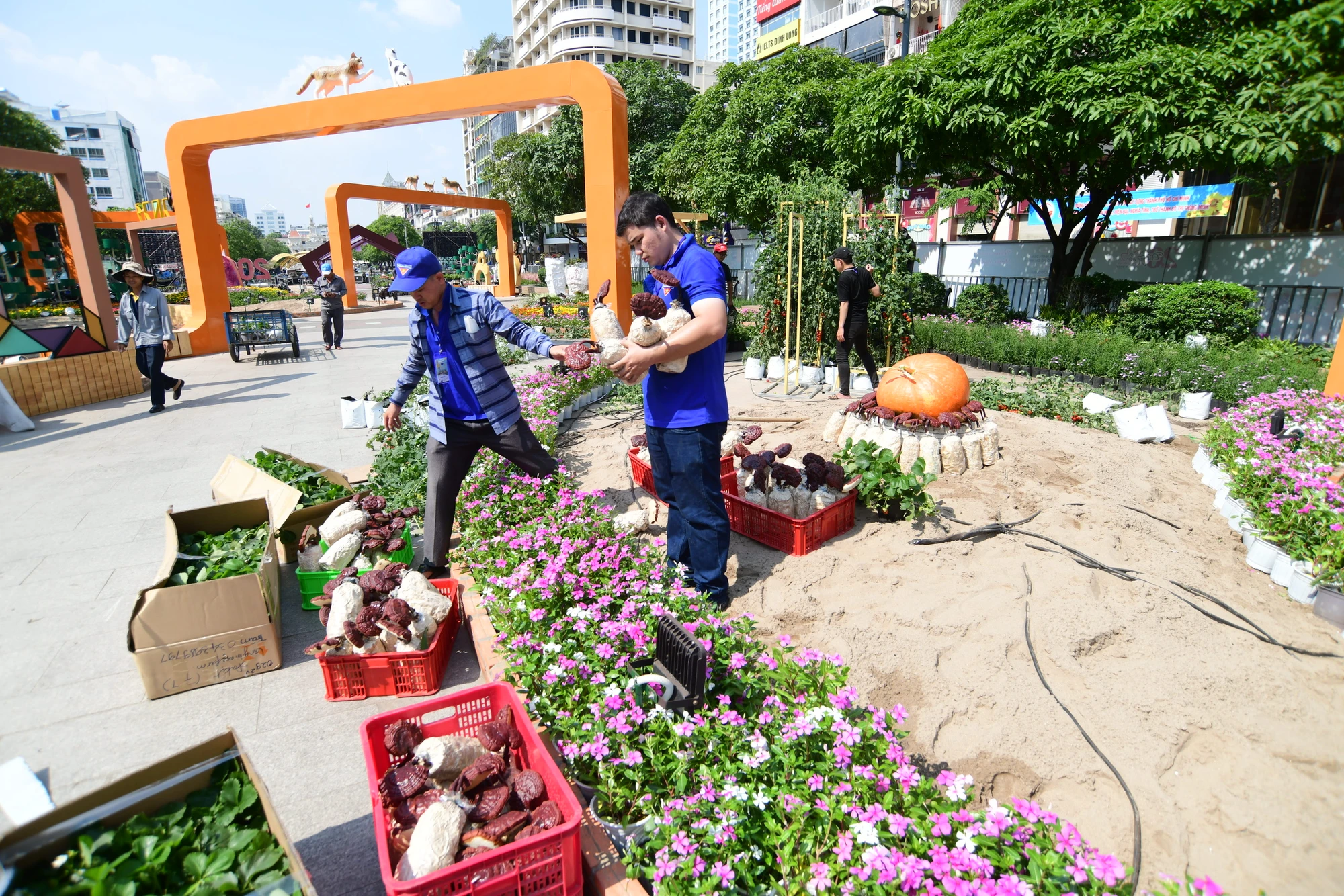 Hiện công nhân đang tất bật thi công các hạng mục cuối cùng như đường điện, ánh sáng,... Ảnh: HOÀNG GIANG