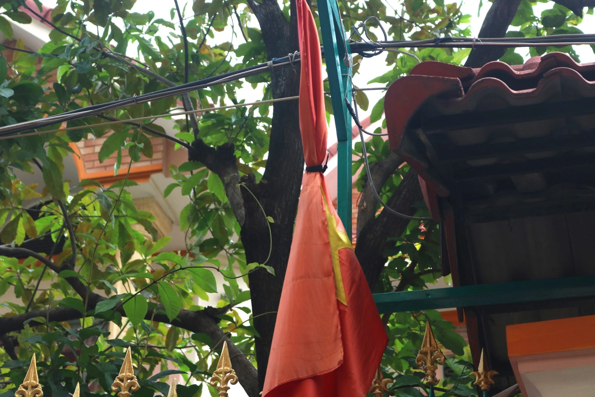 tong-bi-thu-nguyen-phu-trong-19.jpg