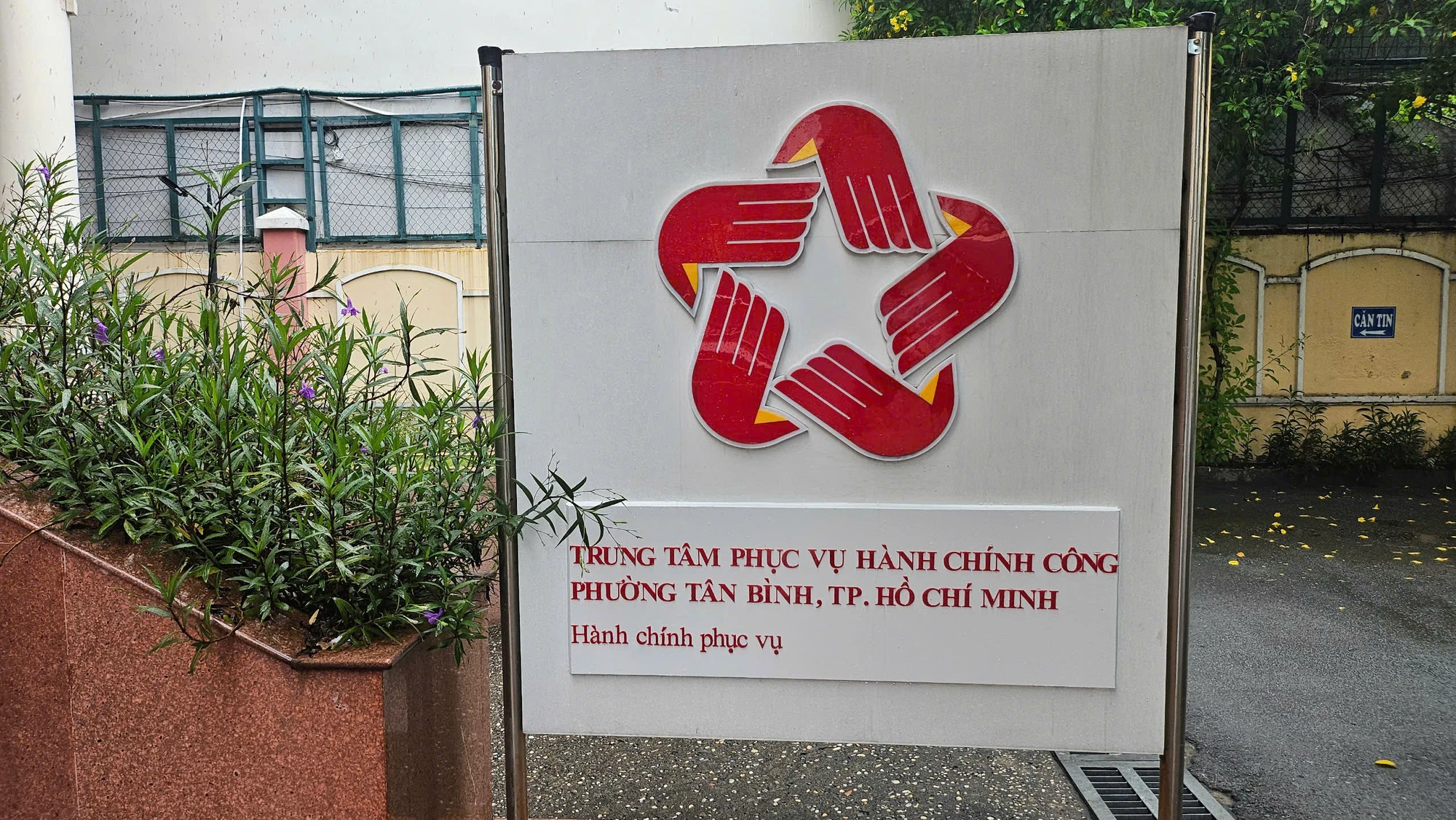 cac-phuong-moi-o-tp-45.jpg