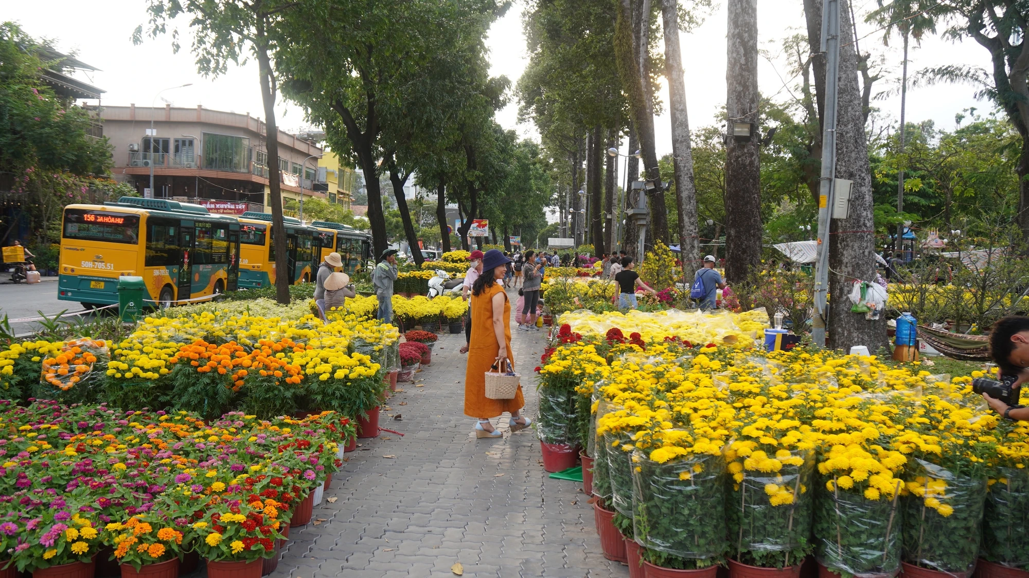 DSC00306 4- Hoa tết - Bính Ngọ 2026 - Chợ Hoa - .JPG