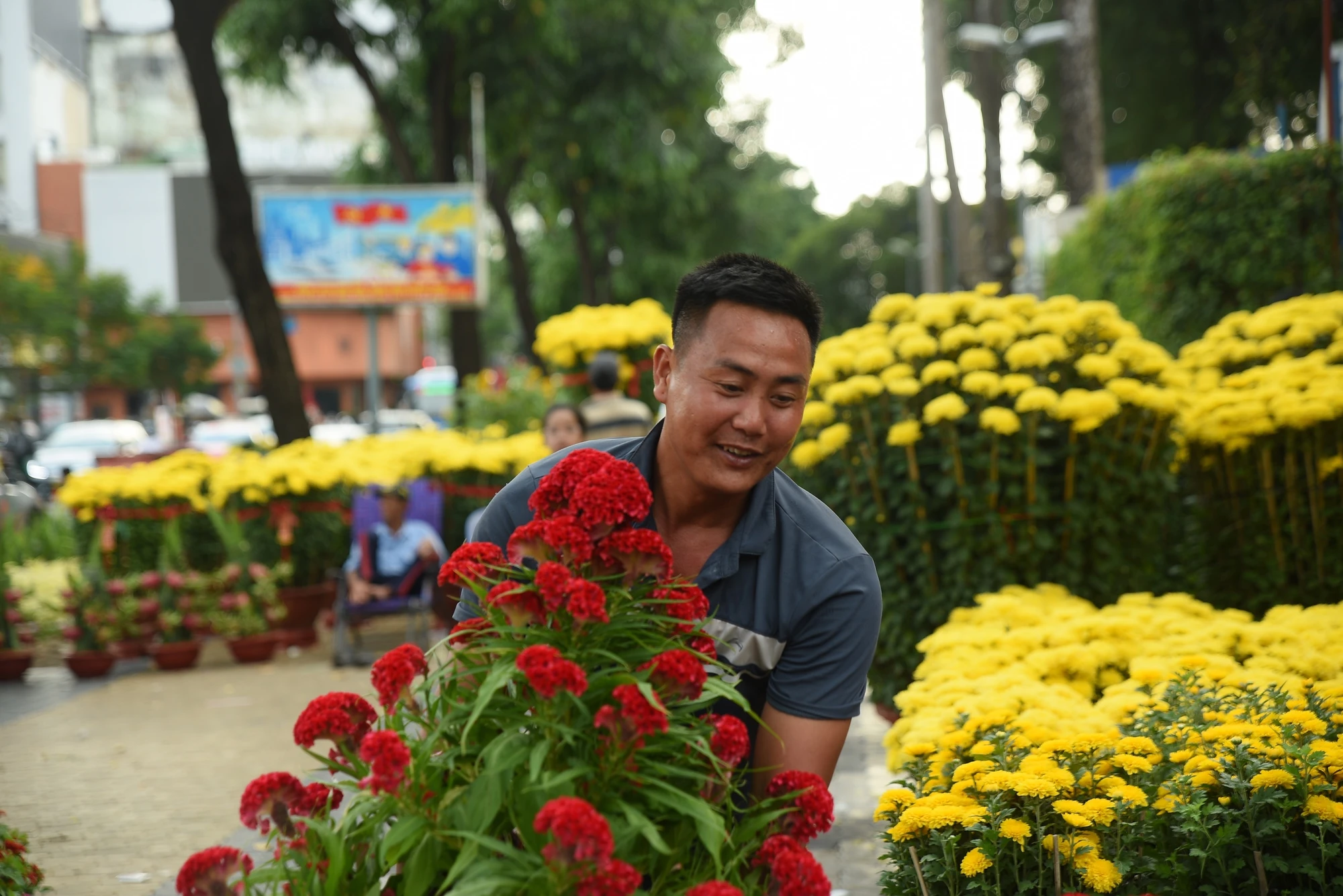 - Hoa tết - Bính Ngọ 2026 - Chợ Hoa - Hoa Lan - Lan hồ điệpDSC_2751 4-hoa tết, chợ hoa, tết, Bính Ngọ 2026 -.JPG