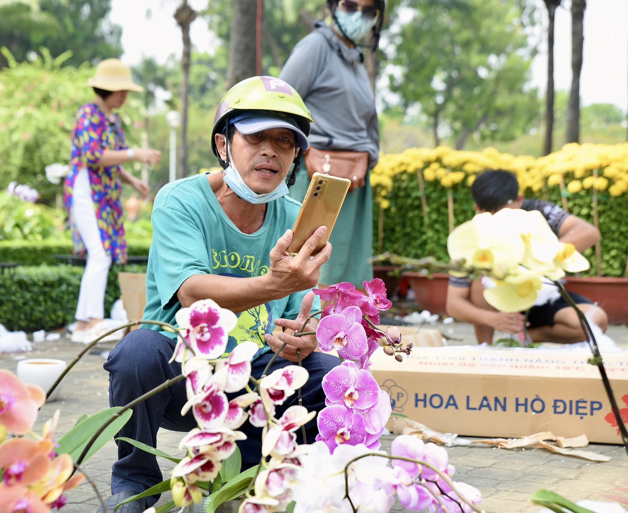 lan hồ điệp, chợ hoa, hoa tết