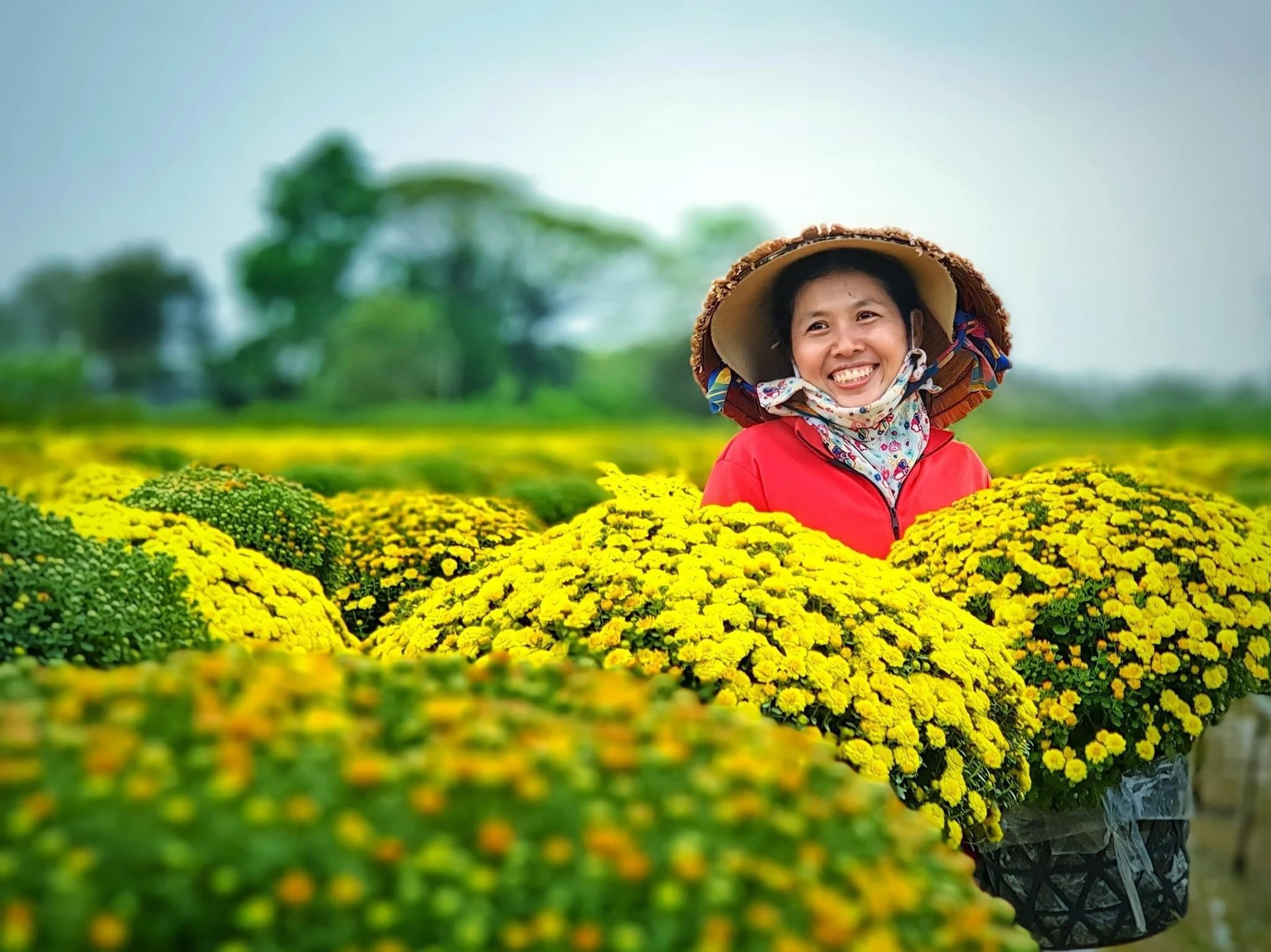 Người dân ở vườn hoa Sa Đéc tất bật chuẩn bị đón tết Nguyên Đán. Ảnh: VÕ MINH THIÊN