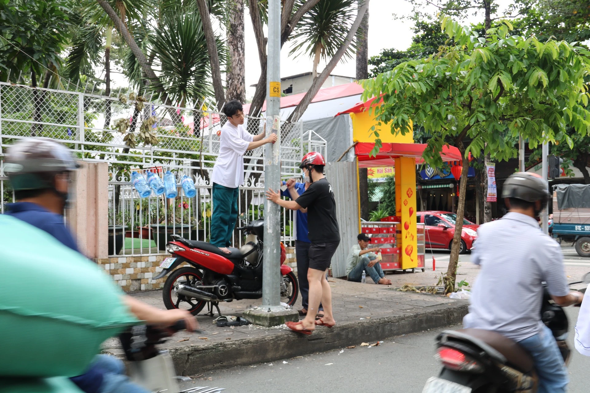 thao-go 2.jpg