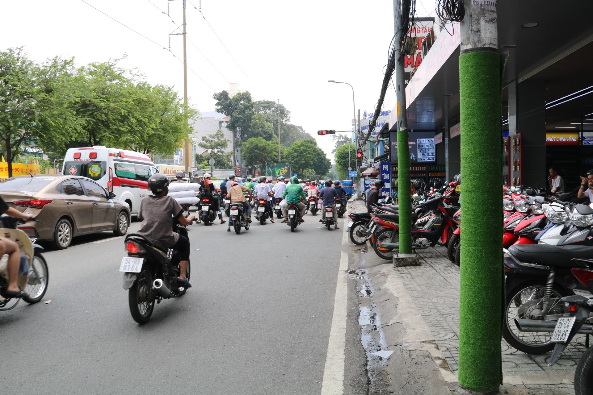 thao-go 3.jpg
