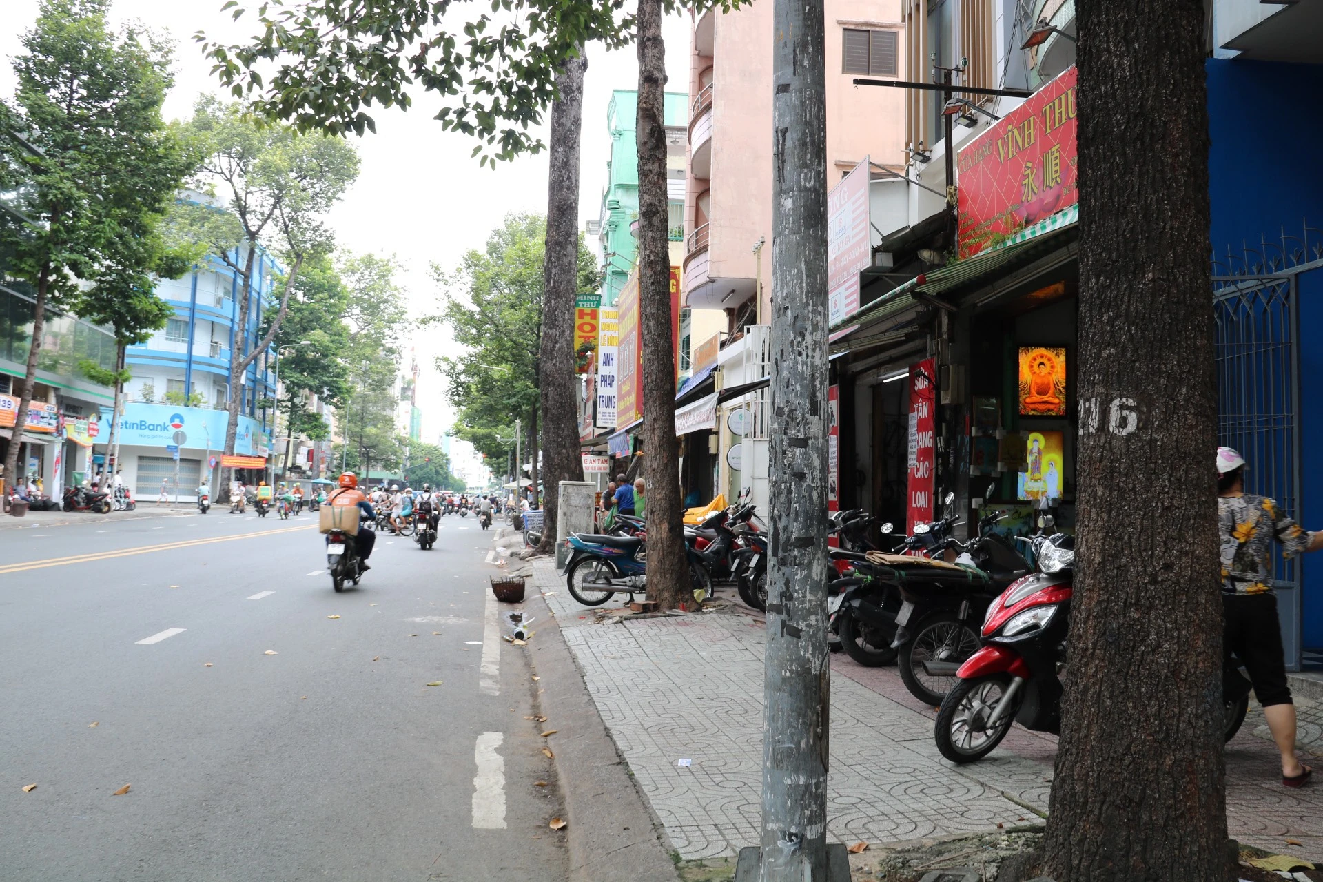 thao-go 6.jpg