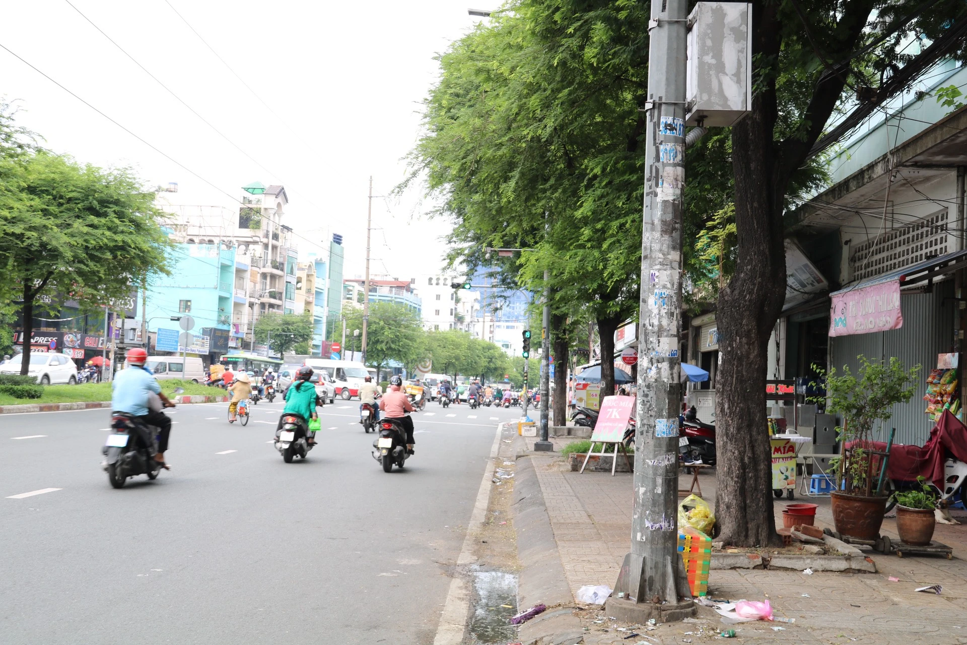 thao-go 7.jpg