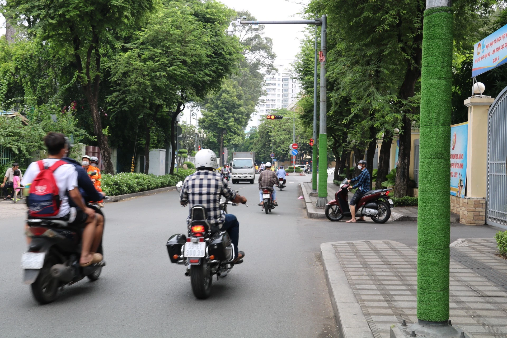 thao-go 9.jpg
