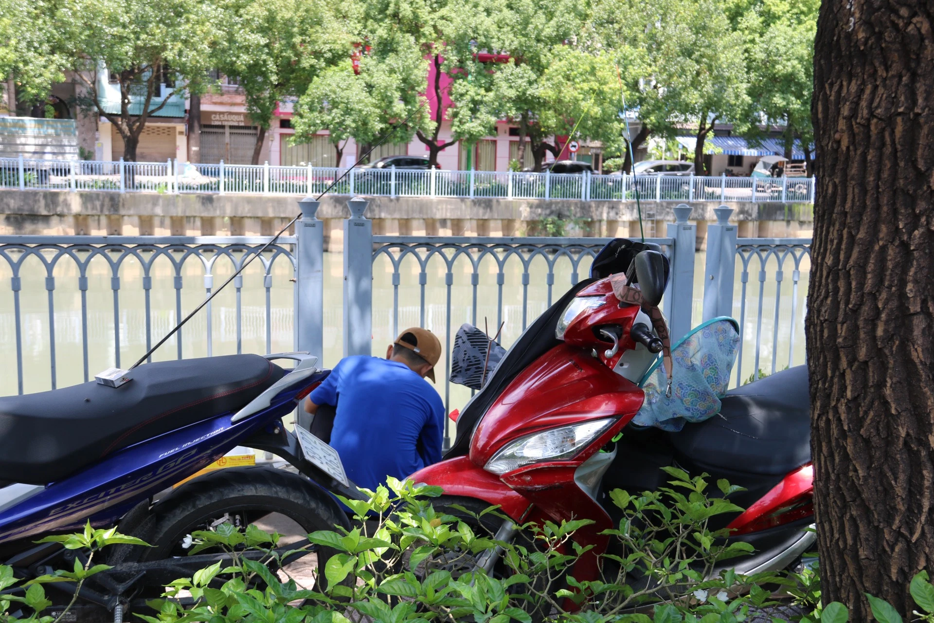 Tình trạng câu cá vẫn tái diễn nhiều nơi trên đường Hoàng Sa (phường 5, quận Tân Bình).
