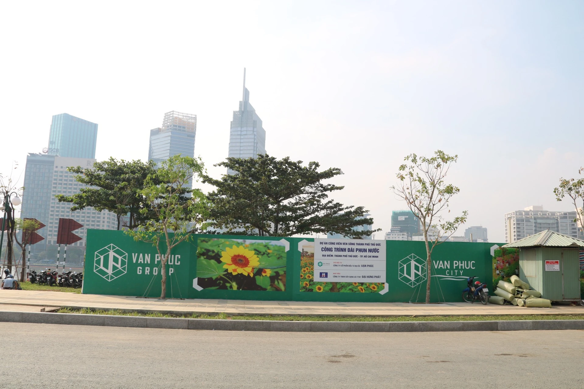 hoa-huong-duong-32.jpg