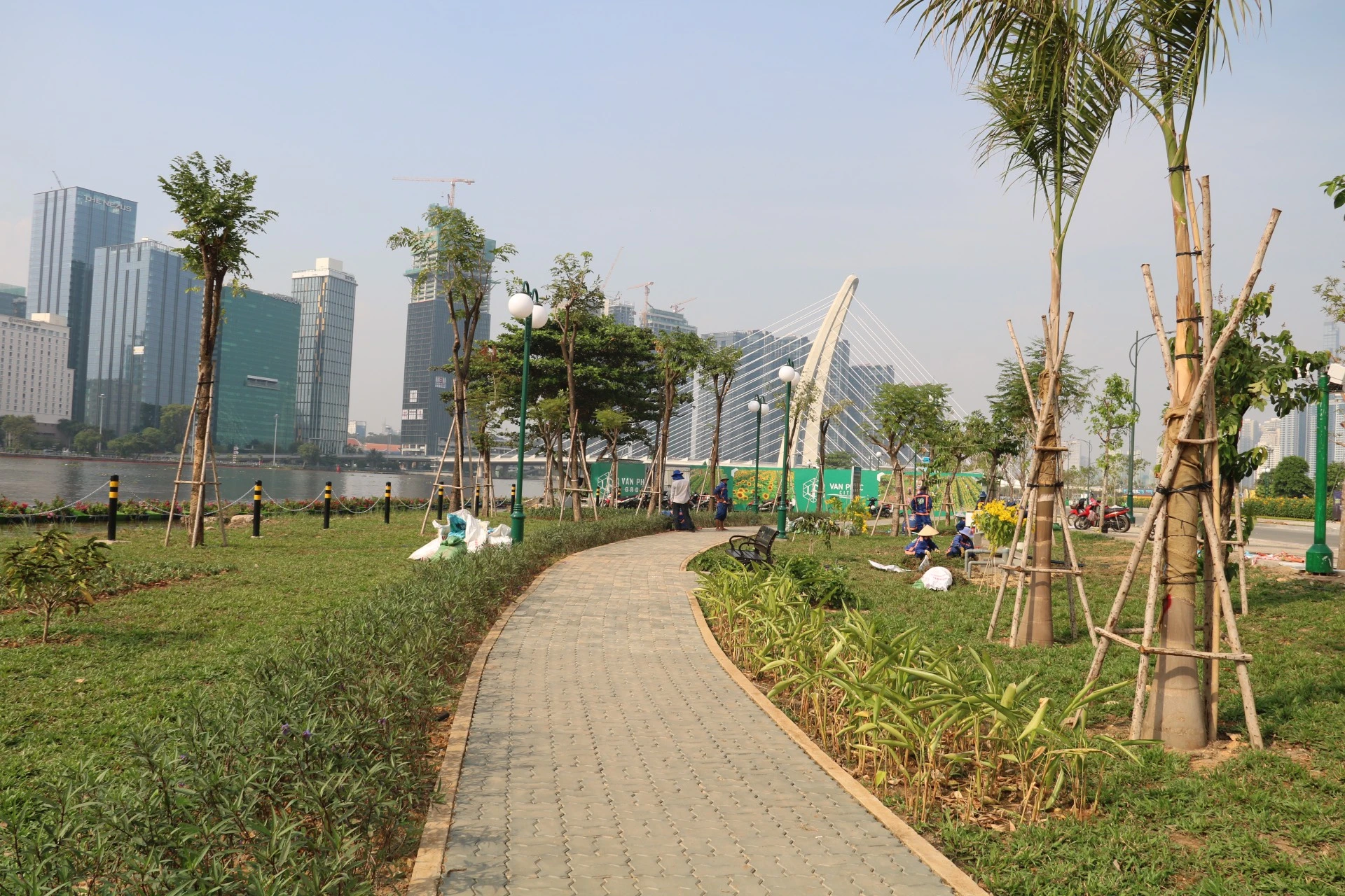 hoa-huong-duong-33.jpg