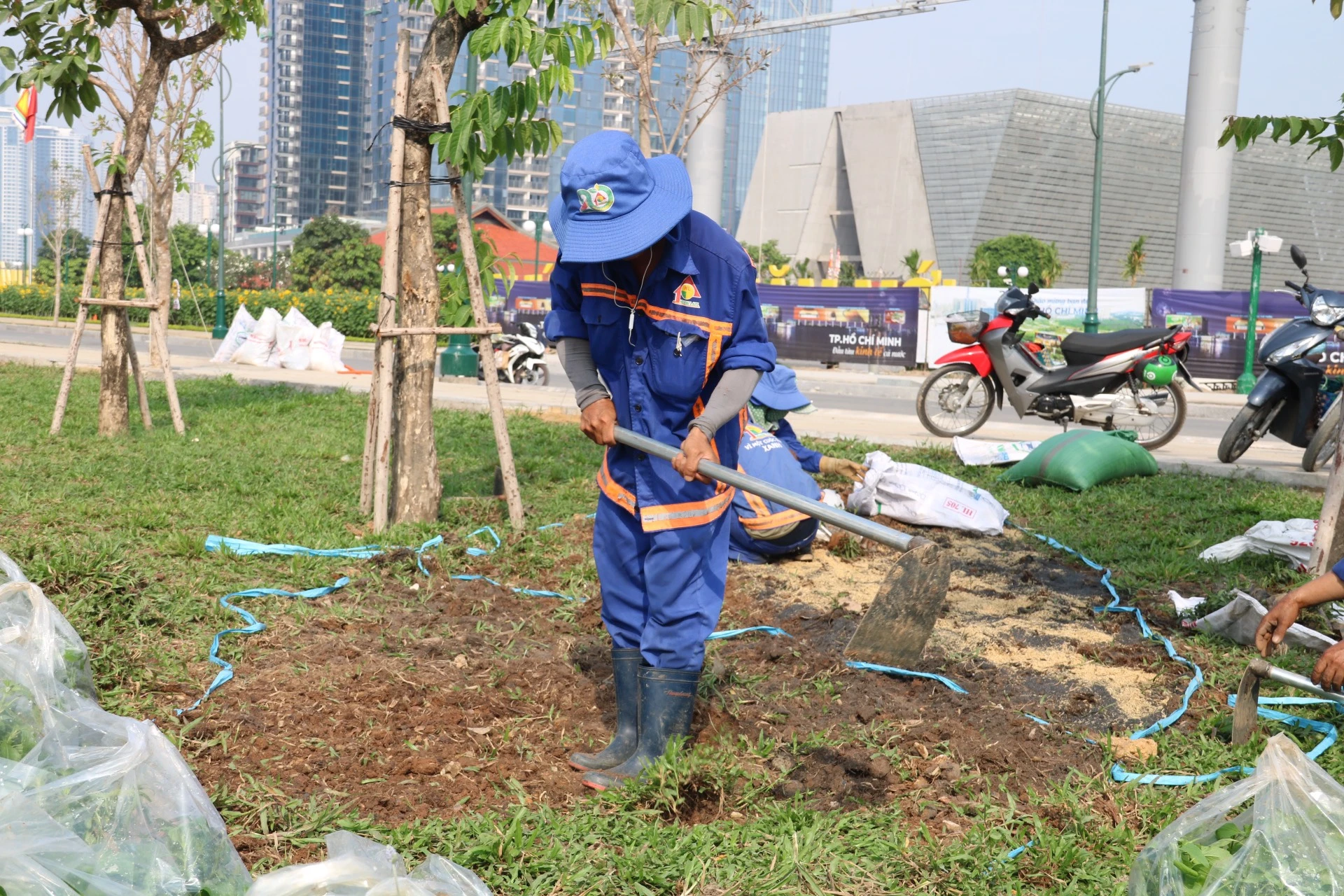 hoa-huong-duong-34.jpg