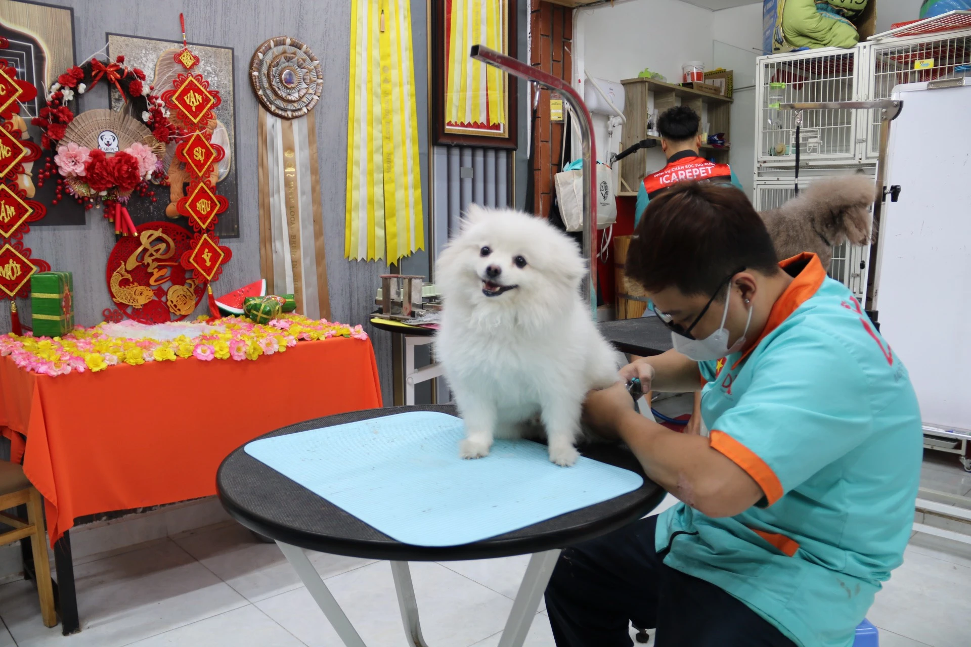 thu-cung-12.jpg