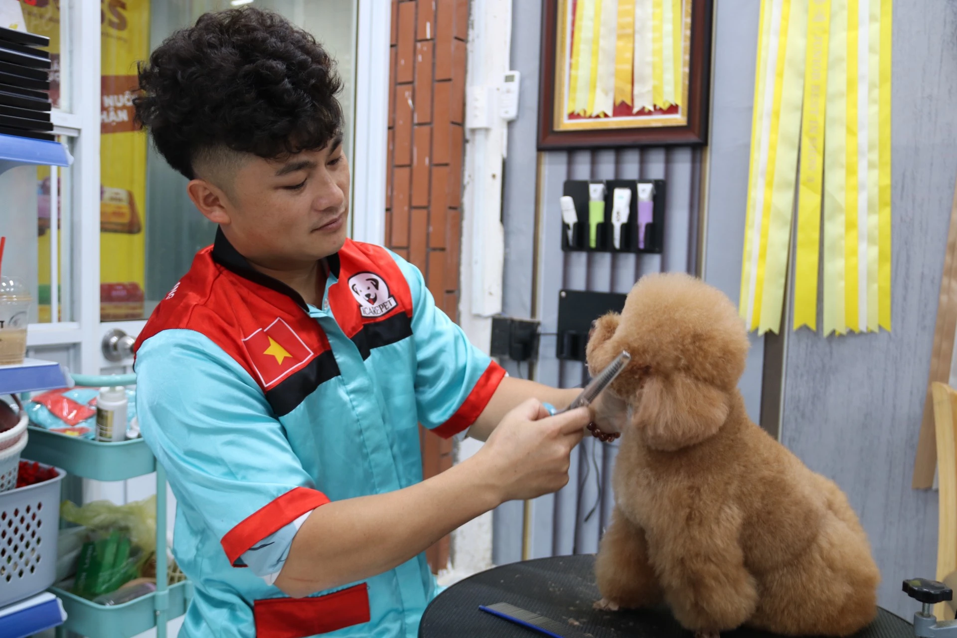 thú cưng