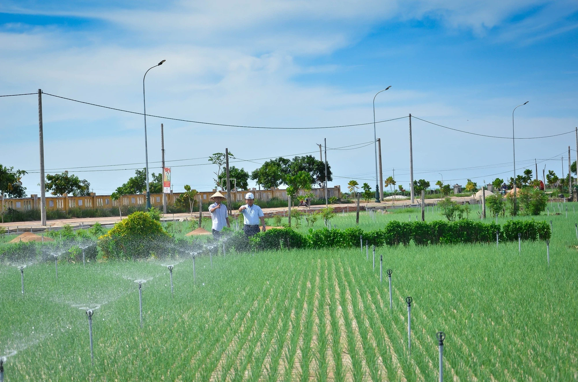 lưới điện quốc gia ở đảo Lý Sơn.