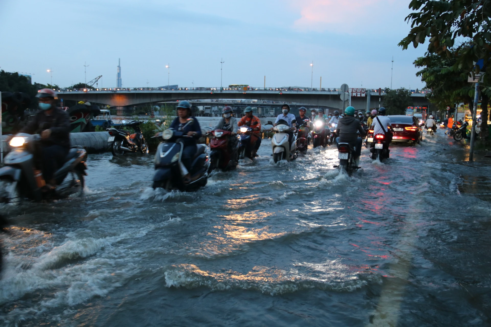 trieu-cuong-1.jpeg