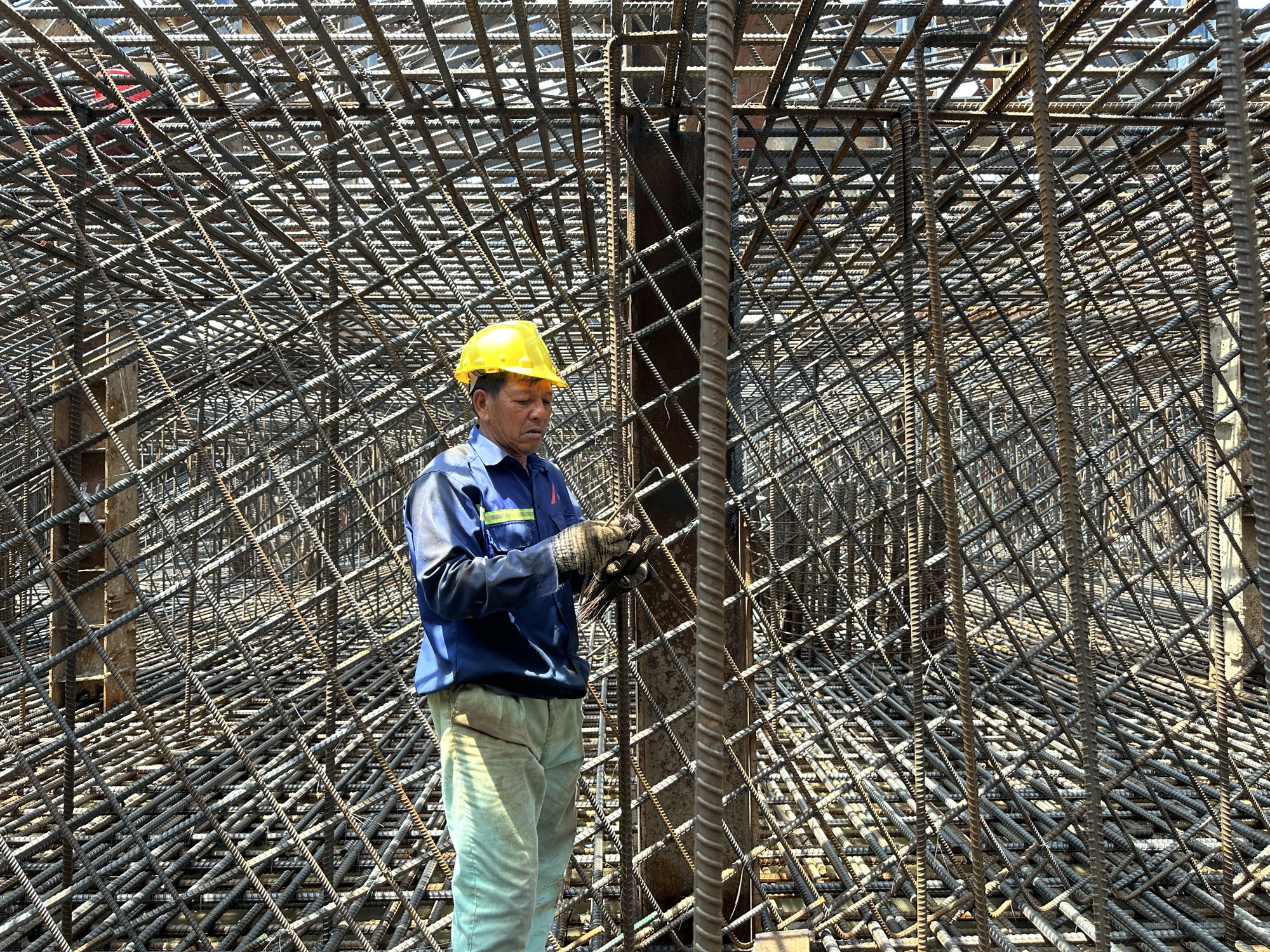 cau-di-bo-002.JPG