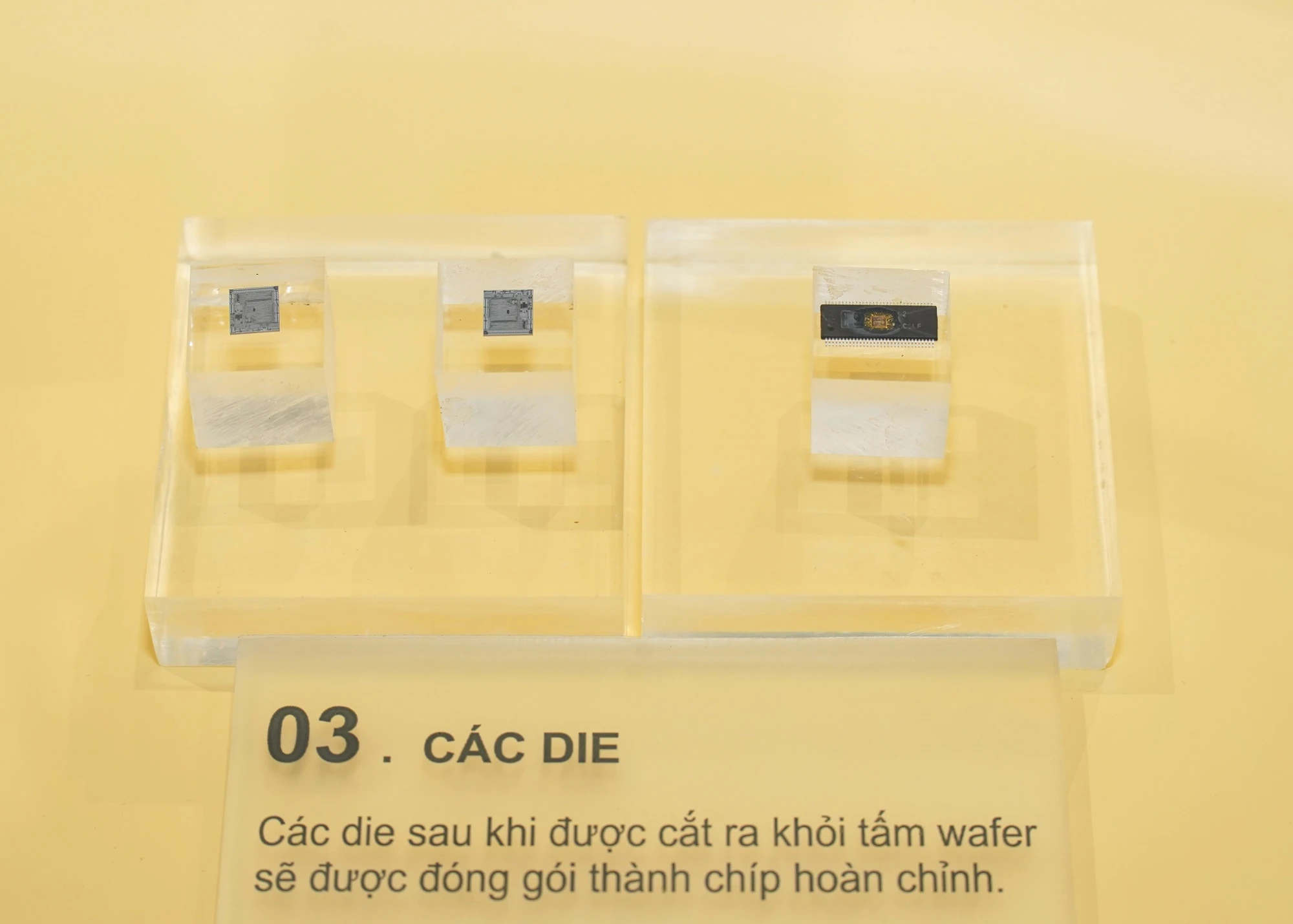 cac-die.jpg