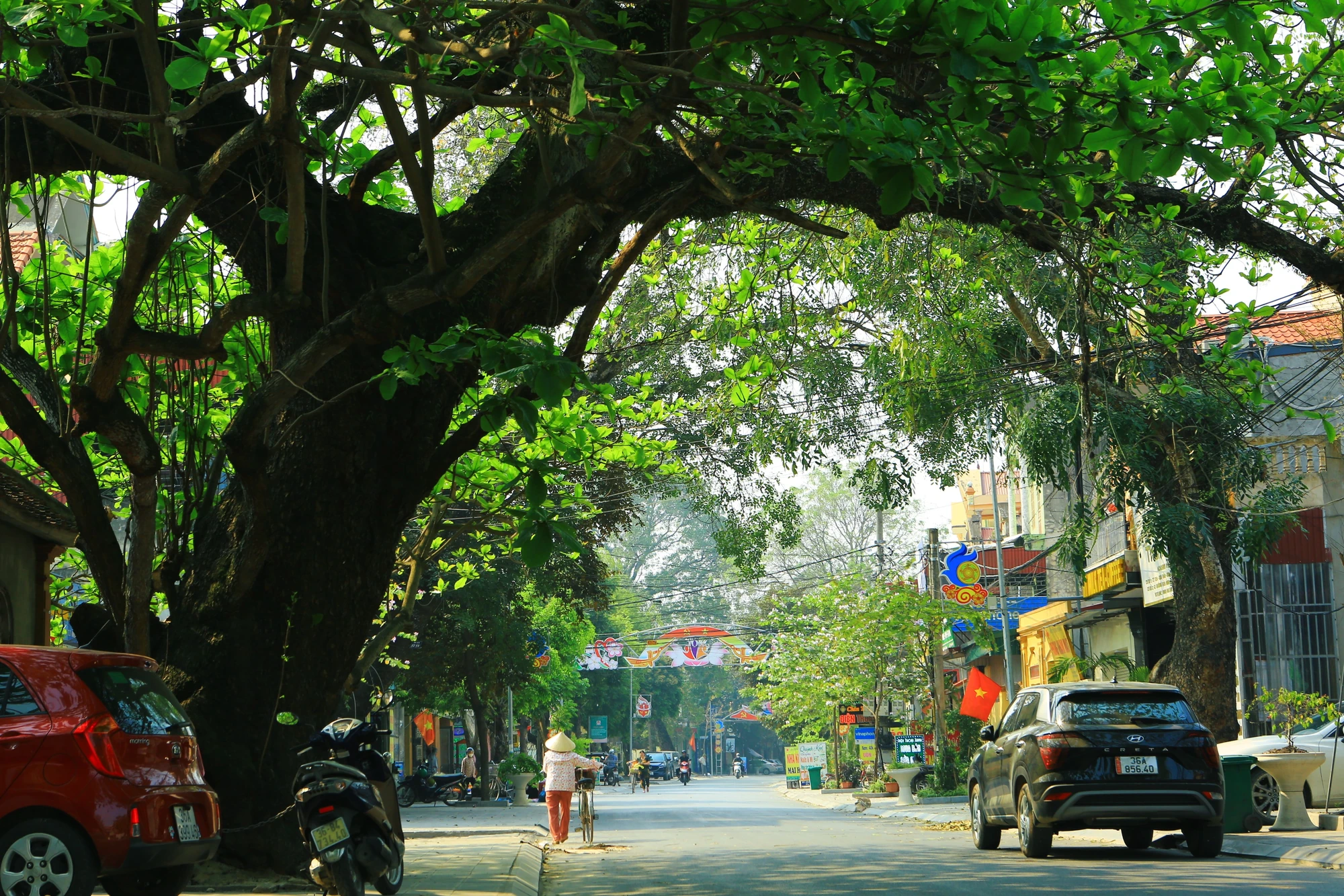 Cây bàng cổ thụ đối với người dân địa phương là dấu tích duy nhất còn sót lại của Chùa Bụt Mọc xưa. Ảnh: ĐẶNG TRUNG Bàng Cổ Thụ Xứ Thanh