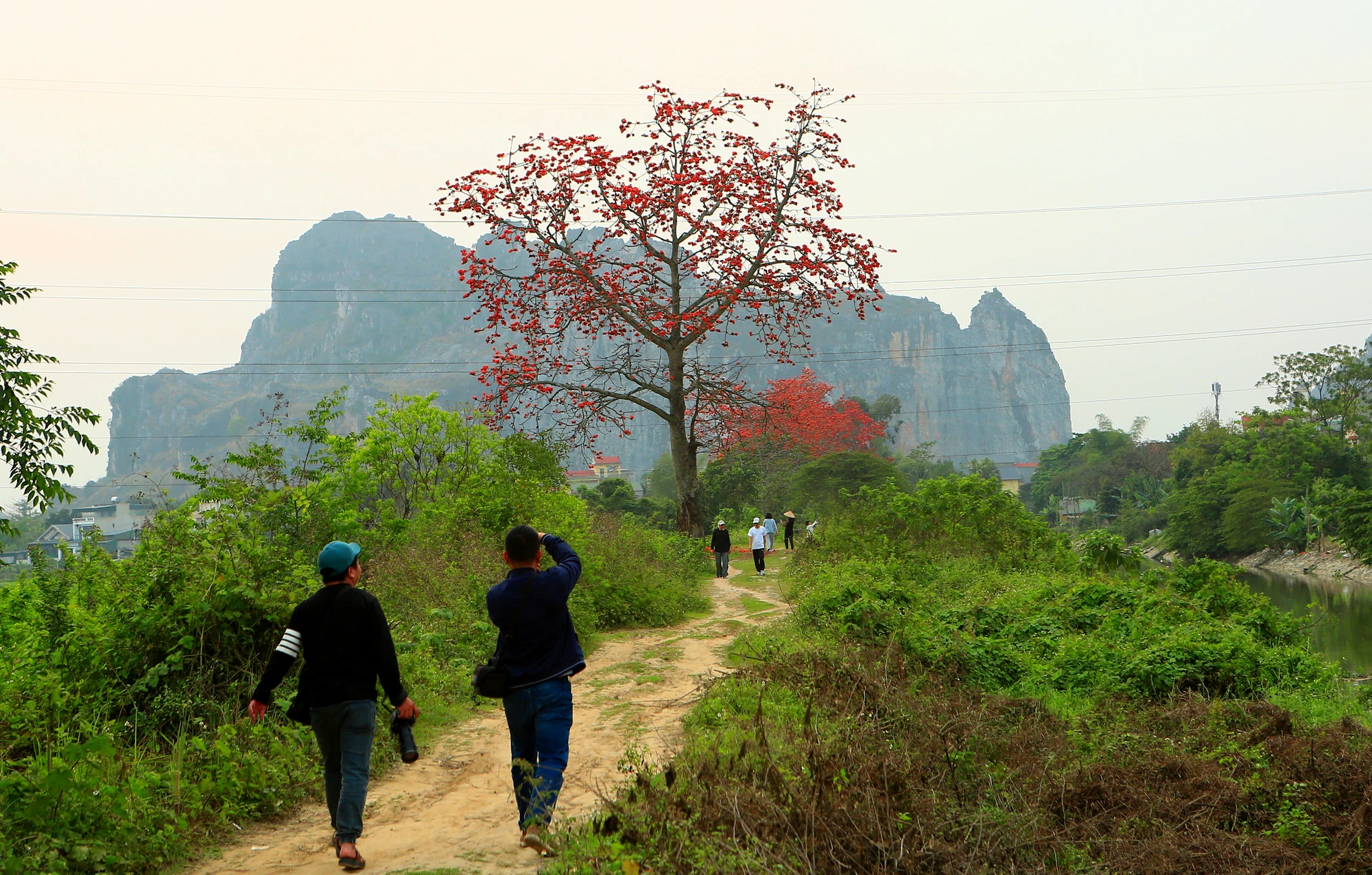 Tháng Ba mùa hoa gạo bung nở sẫm đỏ đẹp đến nao lòng, khiến nhiều người mê mẩn tìm về. Ảnh: ĐẶNG TRUNG Tháng Ba mùa hoa gạo bung nở sẫm đỏ đẹp đến nao lòng, khiến nhiều người mê mẩn tìm về. Ảnh: ĐẶNG TRUNG