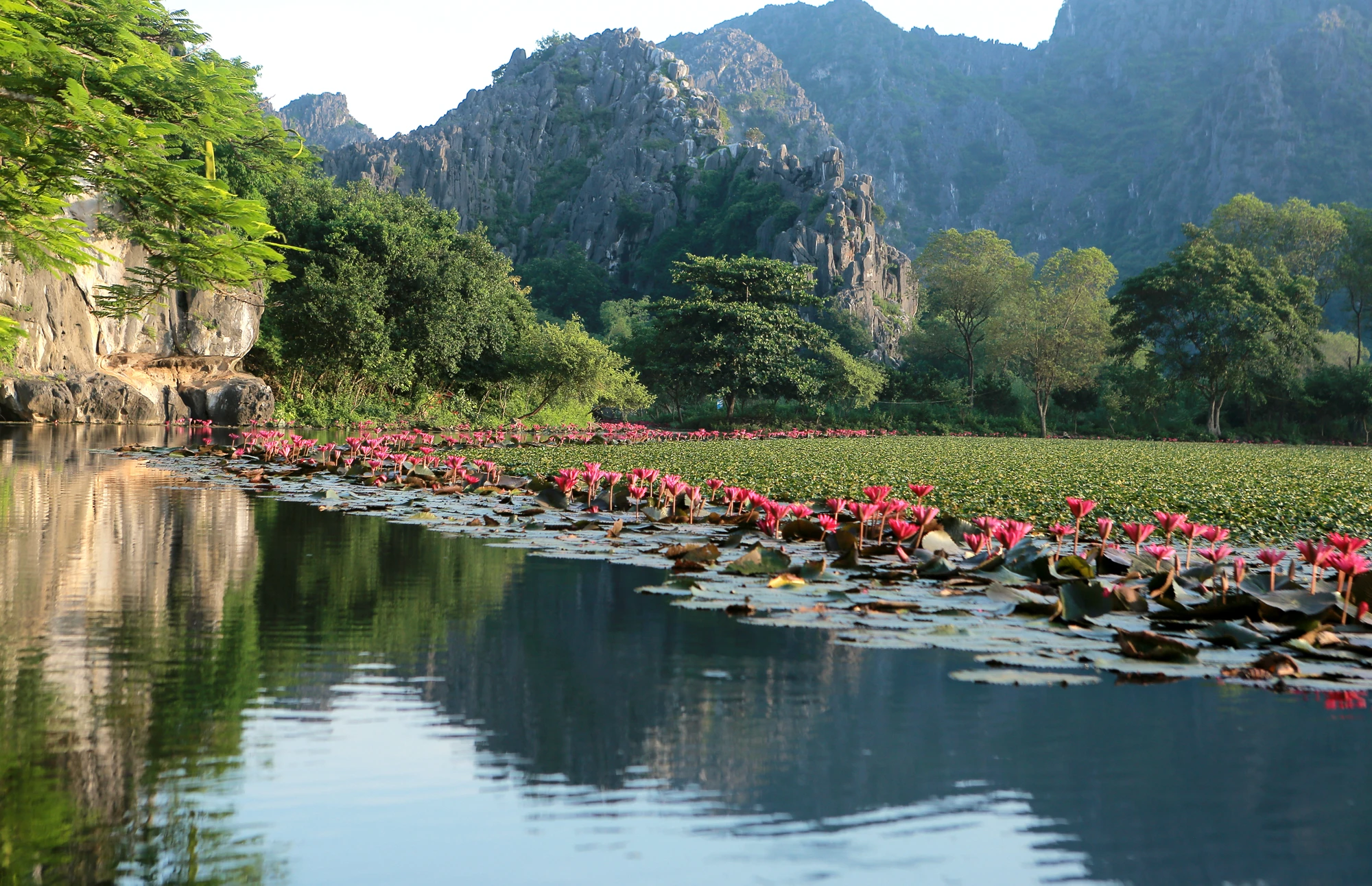 Khi-da-vinh-loc-thanh-hoa-.JPG