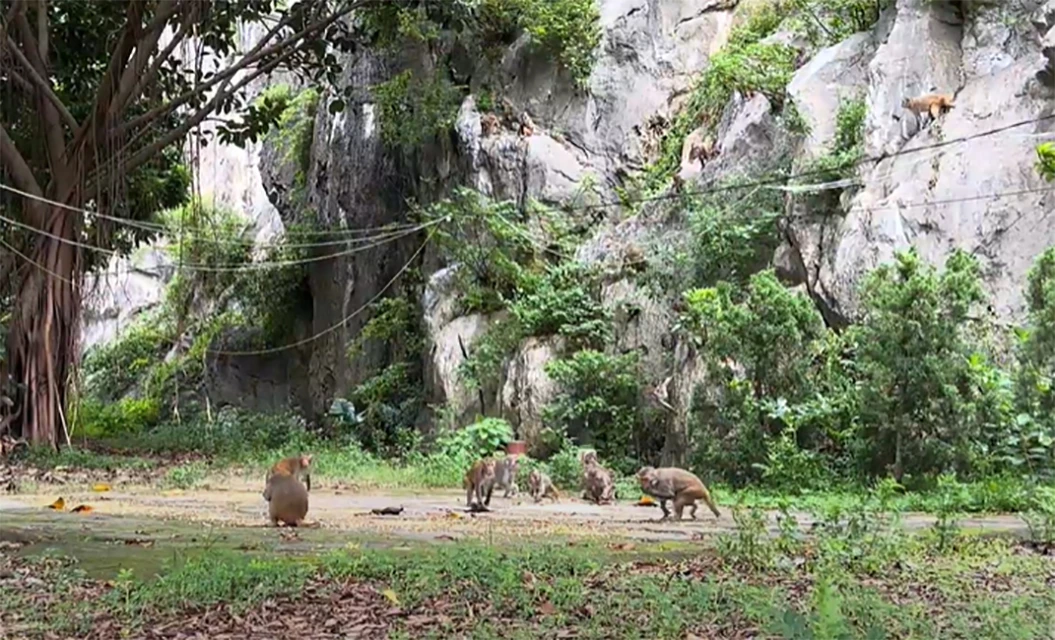 khi-nui-thanh-hoa-5.jpg