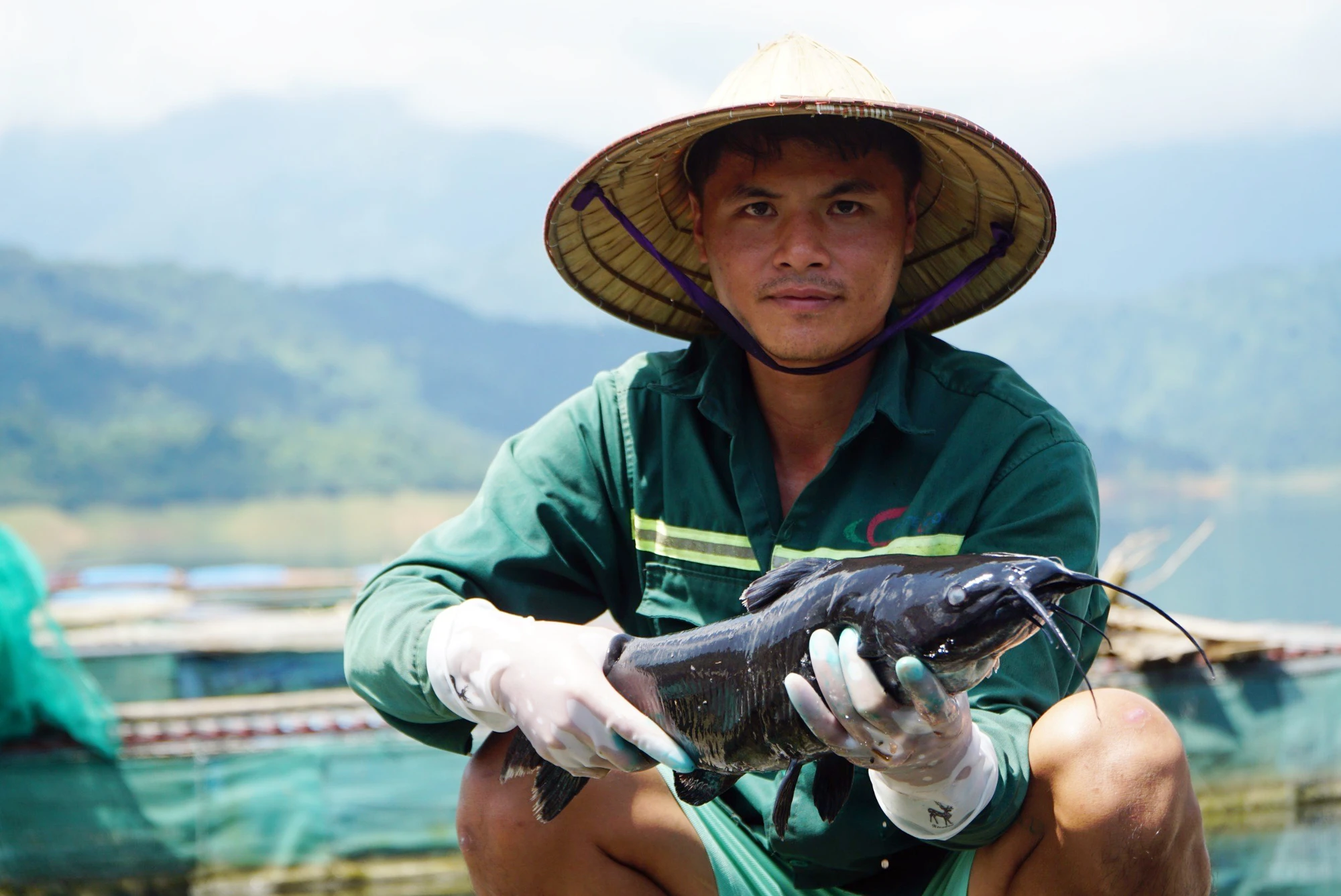 Nuoi-ca-khung-tren-long-ho-thuy-dien-cua-dat-thanh-hoa-12.jpg