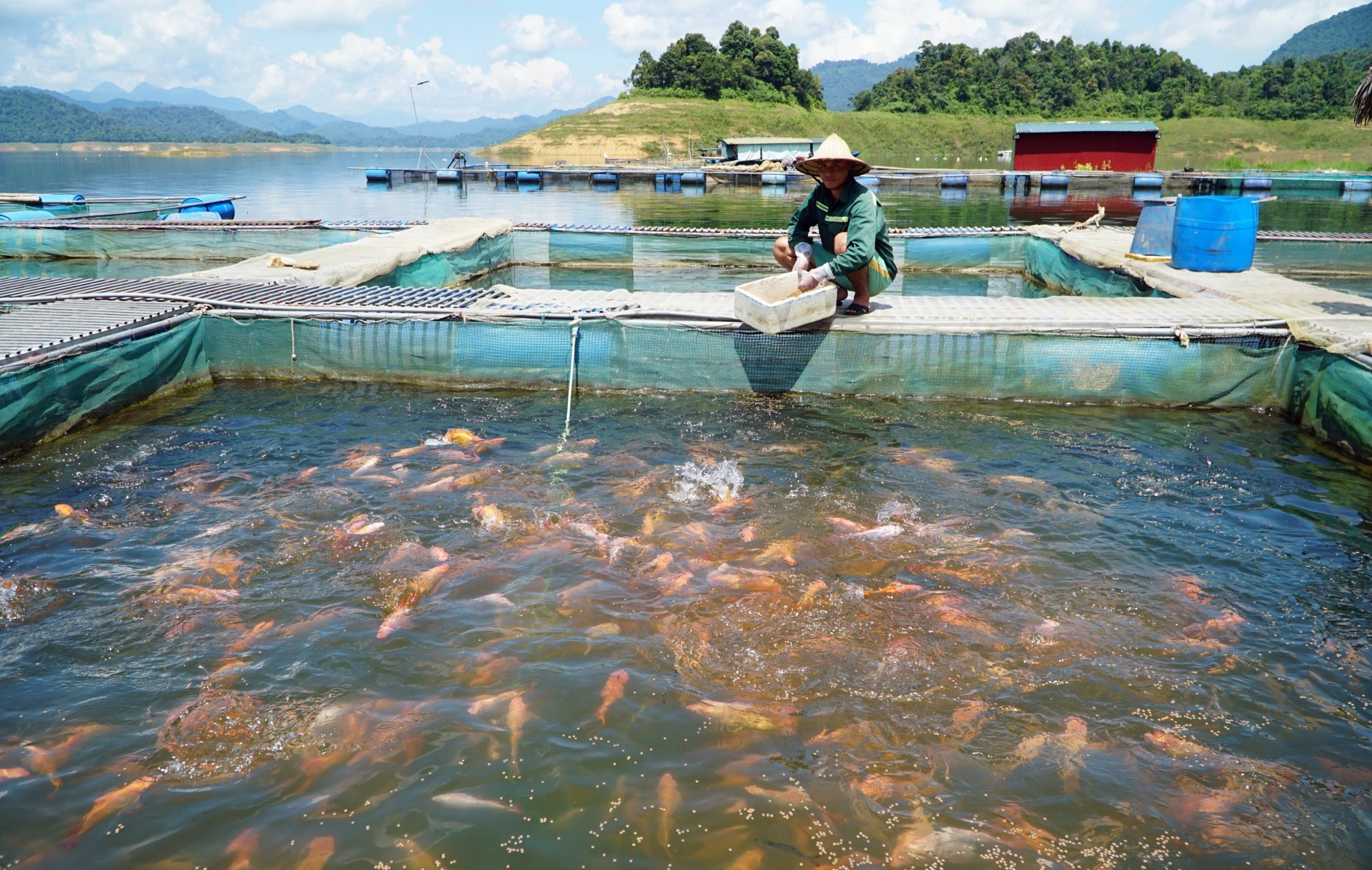 Nuoi-ca-khung-tren-long-ho-thuy-dien-cua-dat-thanh-hoa-13.jpg