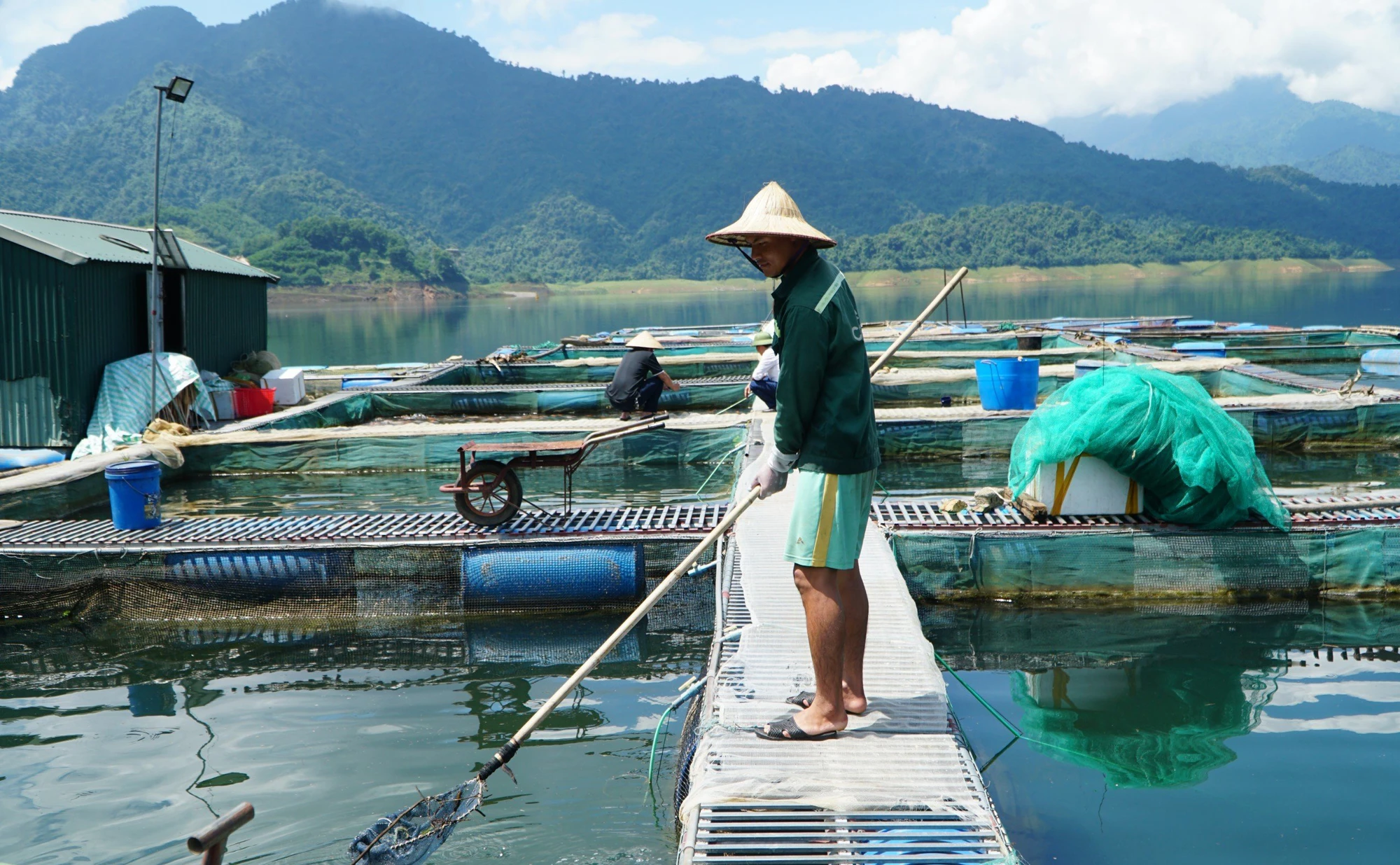 Nuoi-ca-khung-tren-long-ho-thuy-dien-cua-dat-thanh-hoa-19.jpg