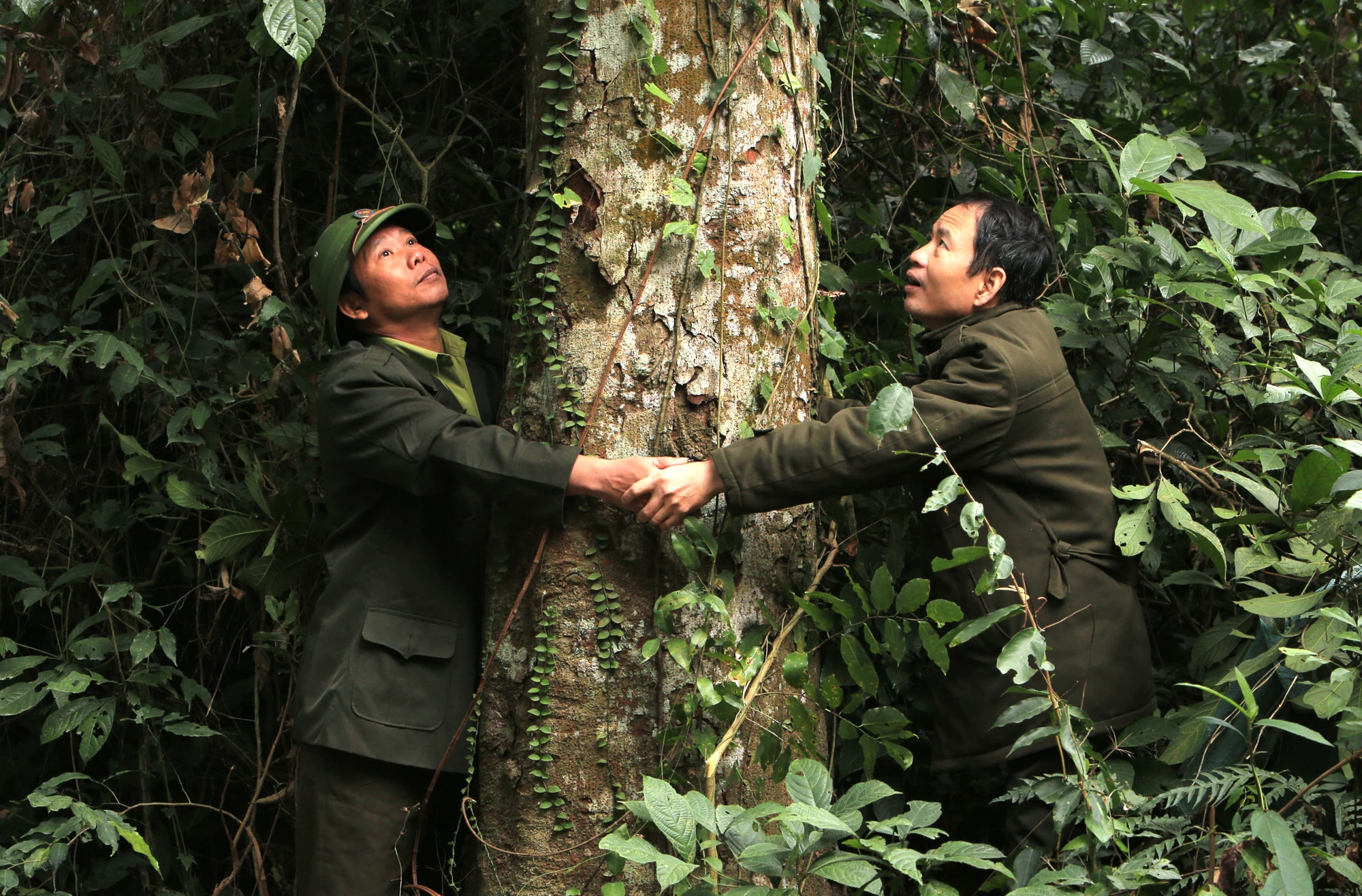 can-canh-rung-sen-lon-nhat-dong-nam-a-o-thanh-hoa-1-5175.jpg