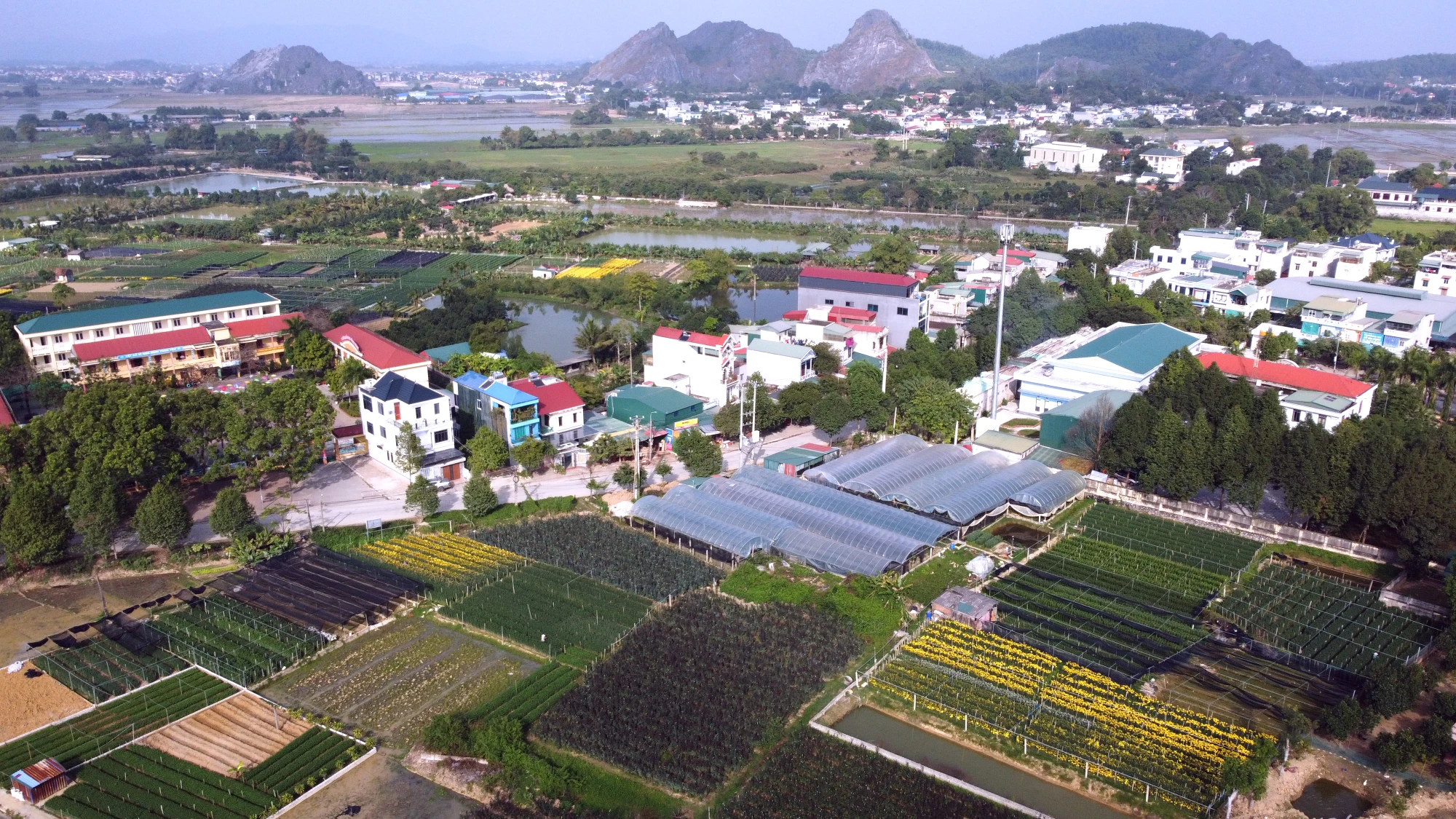 dji-0099-2613.jpg