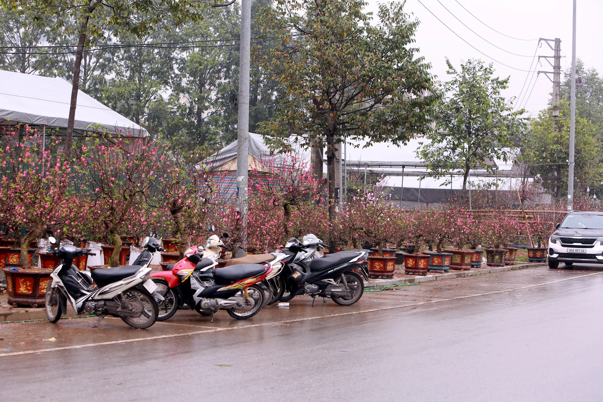 Những phận người mưu sinh ngày cận Tết-20.JPG