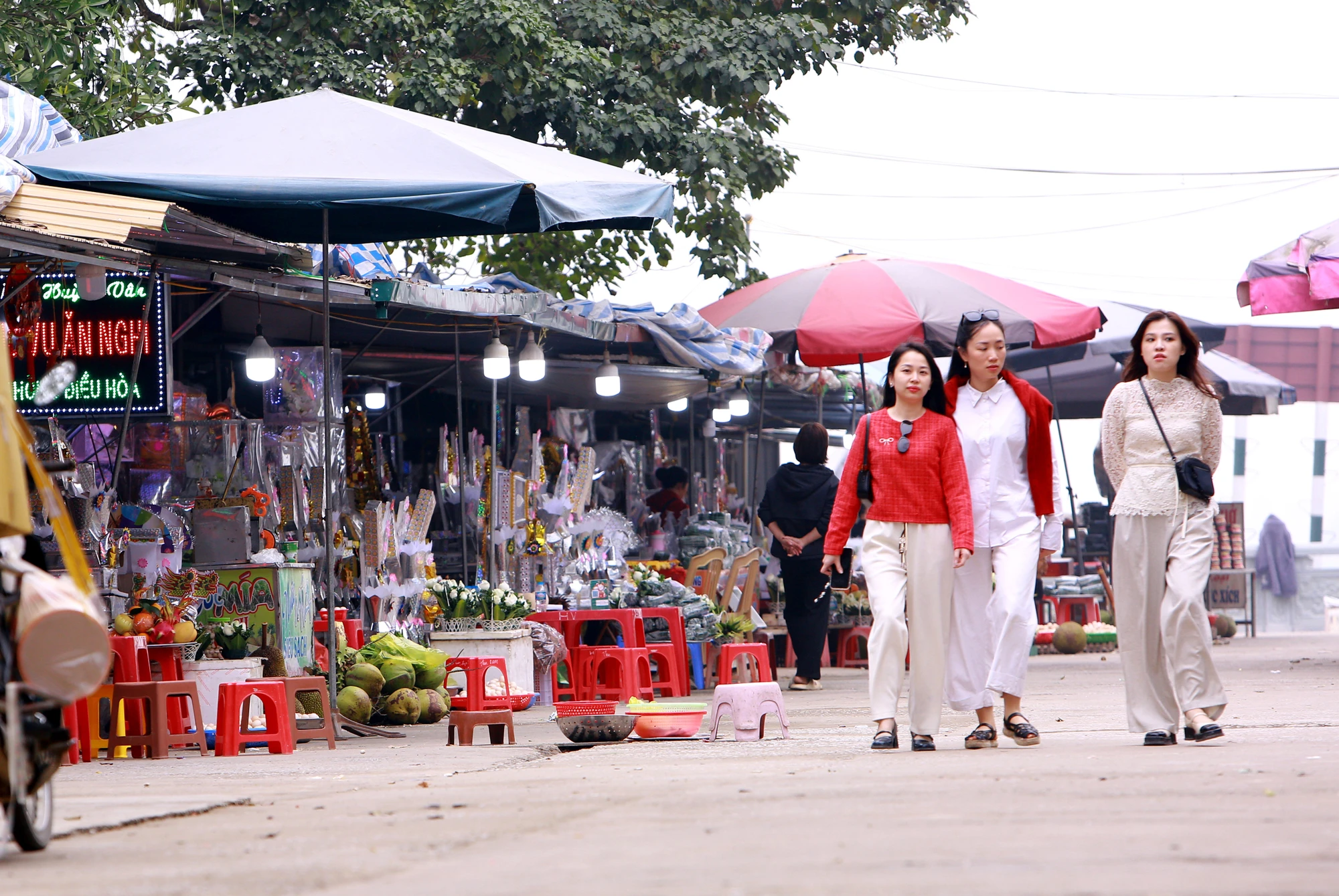 Về nơi tiếng gà gáy 5 huyện ở Thanh Hóa đều nghe - 11.JPG