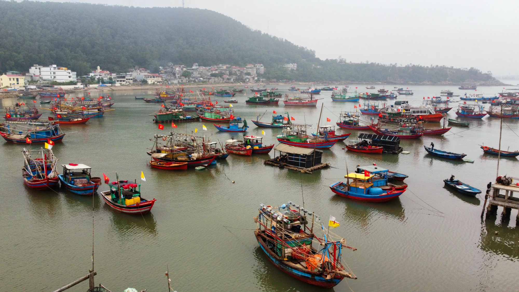 dji_fly_20240414_133042_786_1713076255159_photo_optimized.jpg