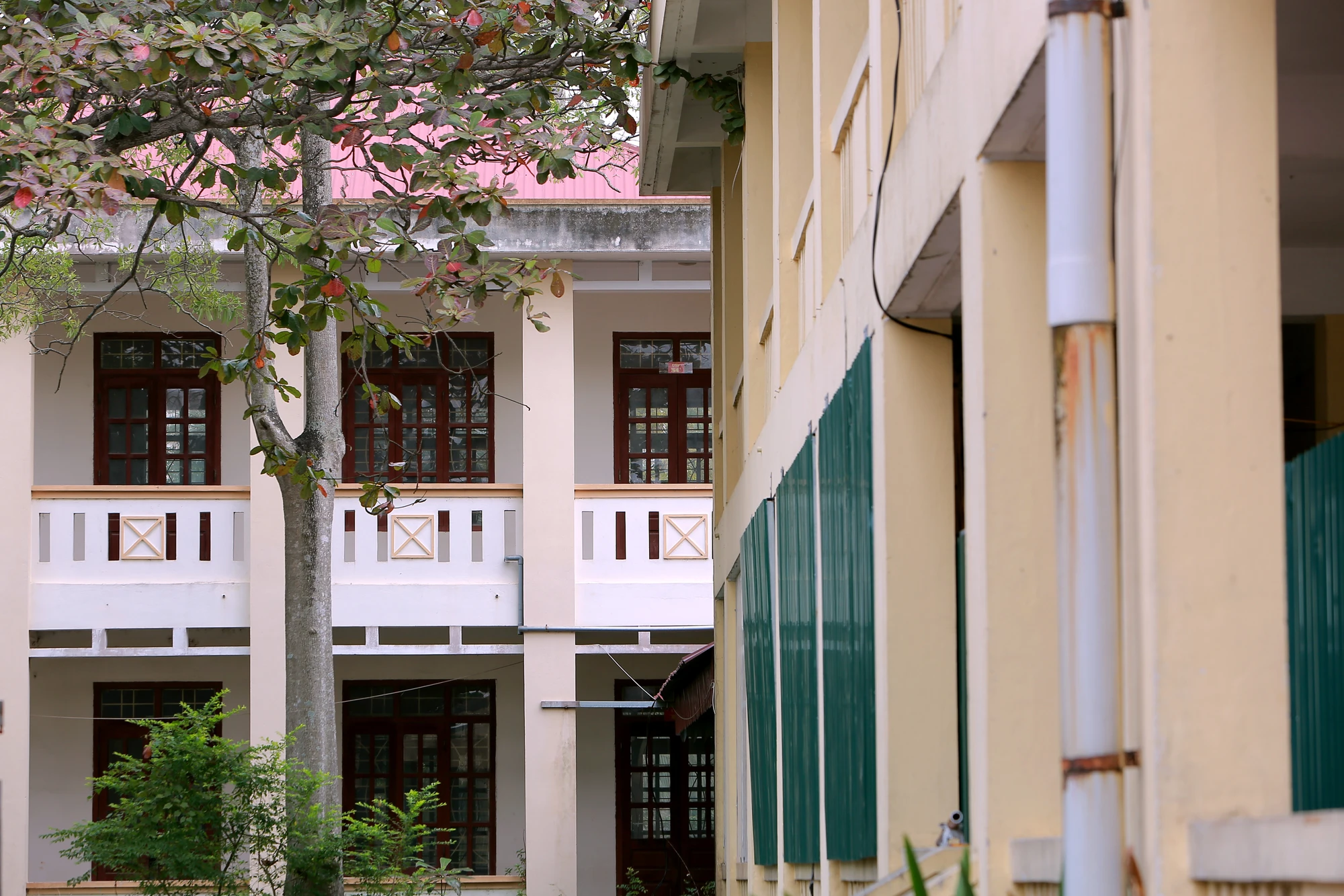 Hai ngôi trường bỏ hoang lãng phí ở một xã ven biển Thanh Hóa - 14.JPG
