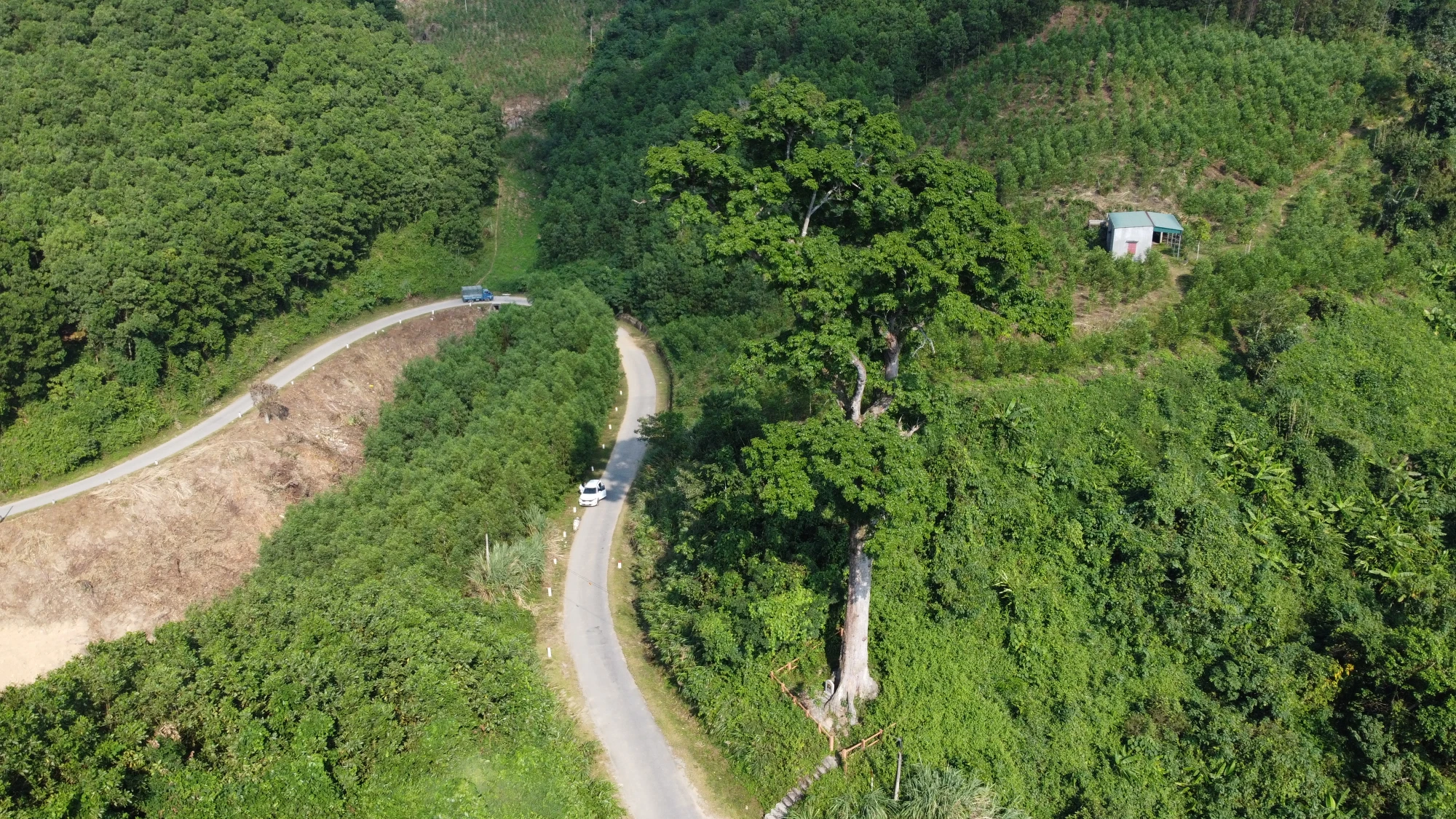 DJI_0949.JPG