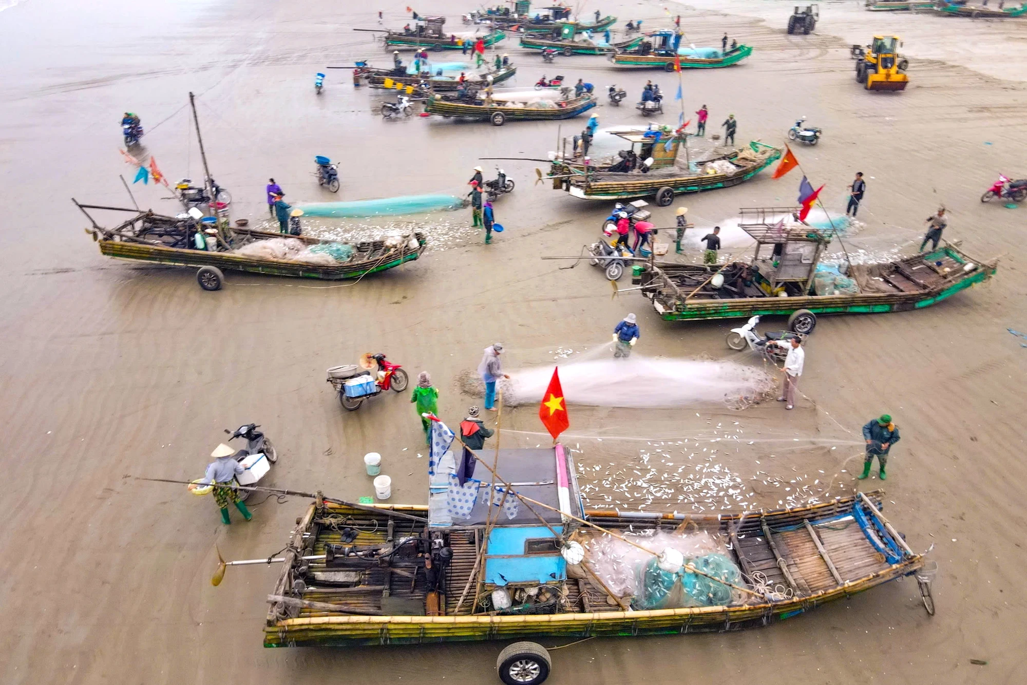 Ngư dân trúng đậm mùa cá trích, thu về hàng triệu đồng mỗi ngày - 10.jpg