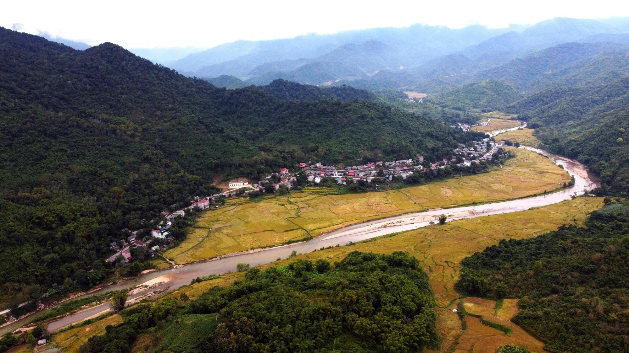 Ngắm cảnh đẹp mùa vàng đẹp như thiên đường ở vùng biên xứ Thanh -21.JPG